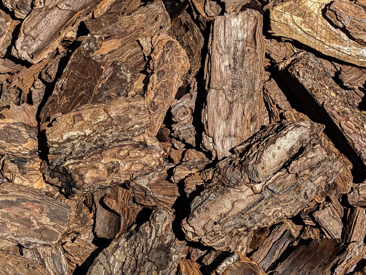 Close-up of a pile of pine bark