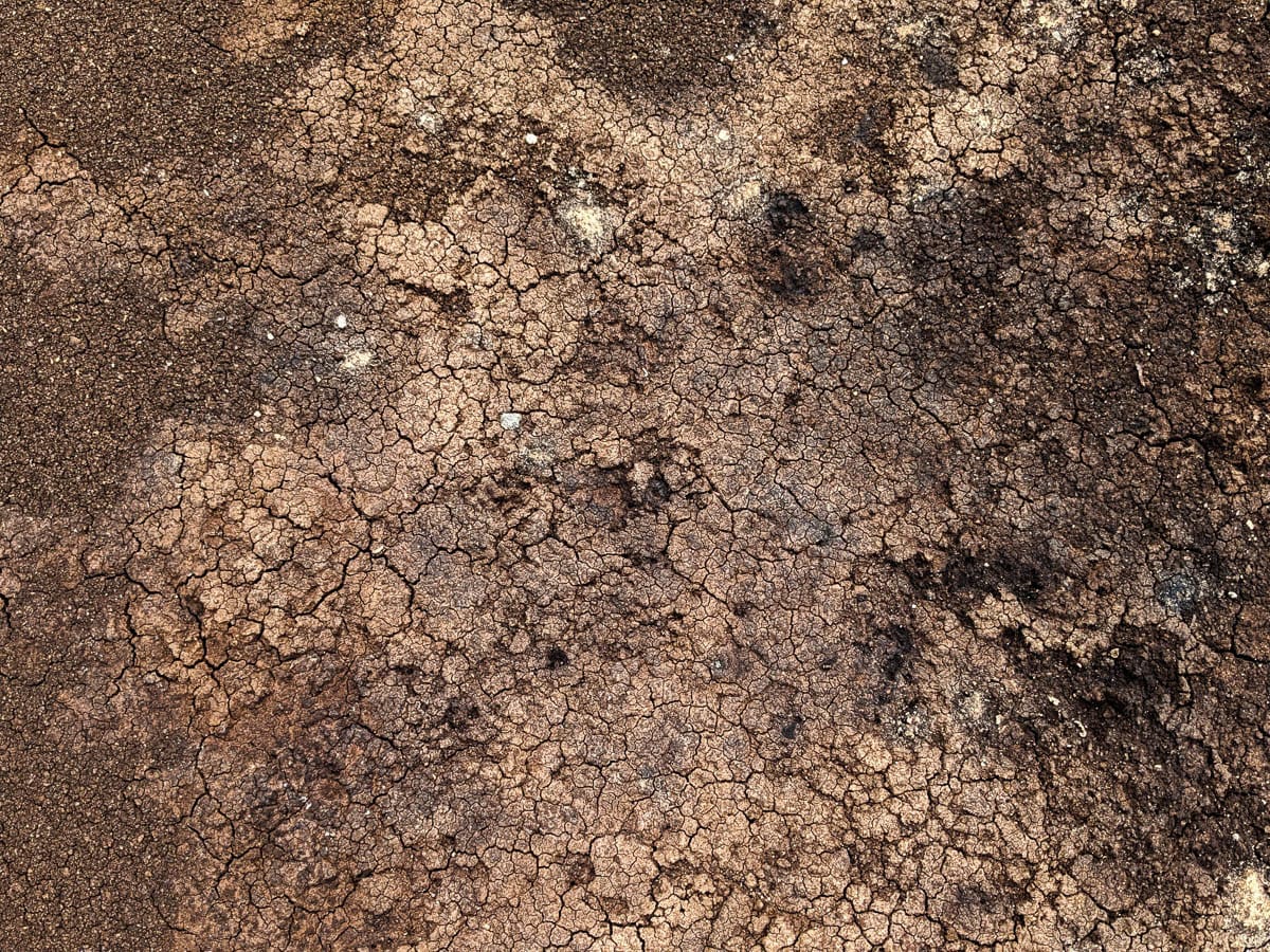 A close-up of cracked, dry soil.