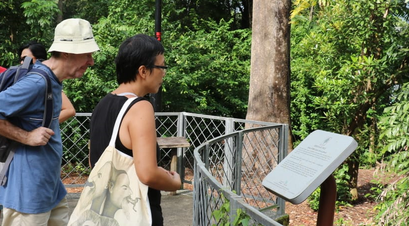 Two tour participants reading a Heritage Tree signage