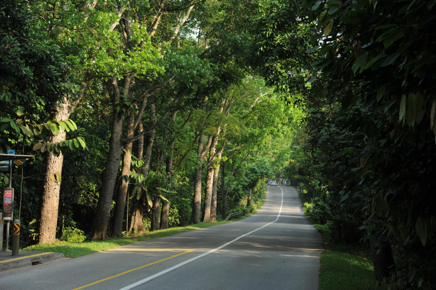 Lim Chu Kang Road