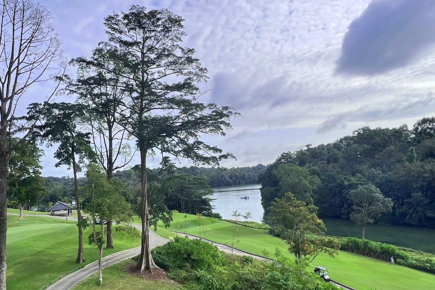 Curved paths surrounded by large trees and green grassy areas overlooking a river under a blue sky with scattered clouds.