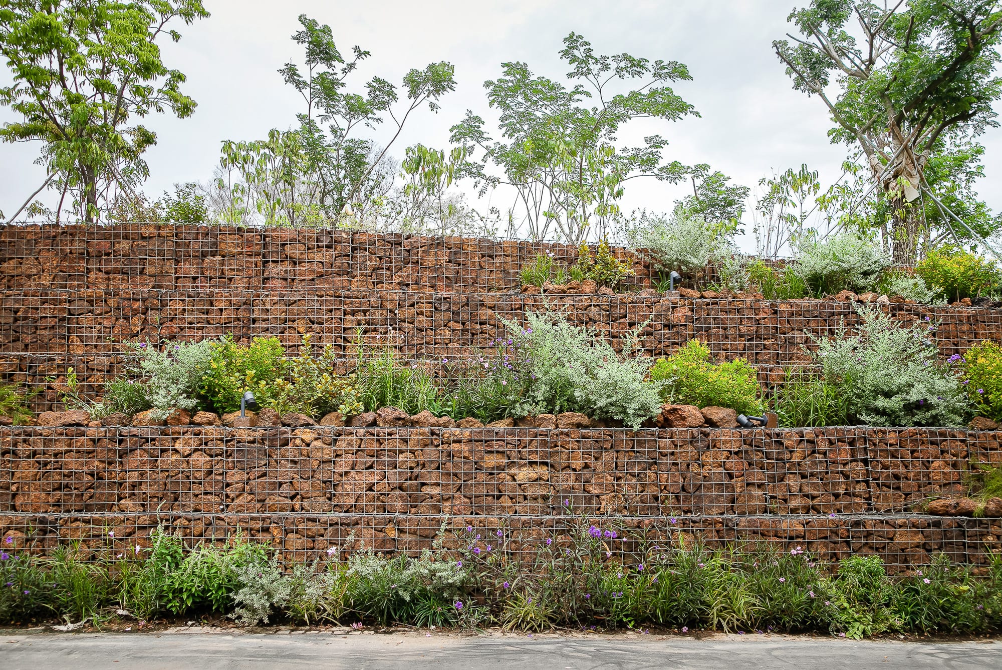 A terraced garden with stacked mesh walls filled with rocks, various plants, and small trees, under an overcast sky.