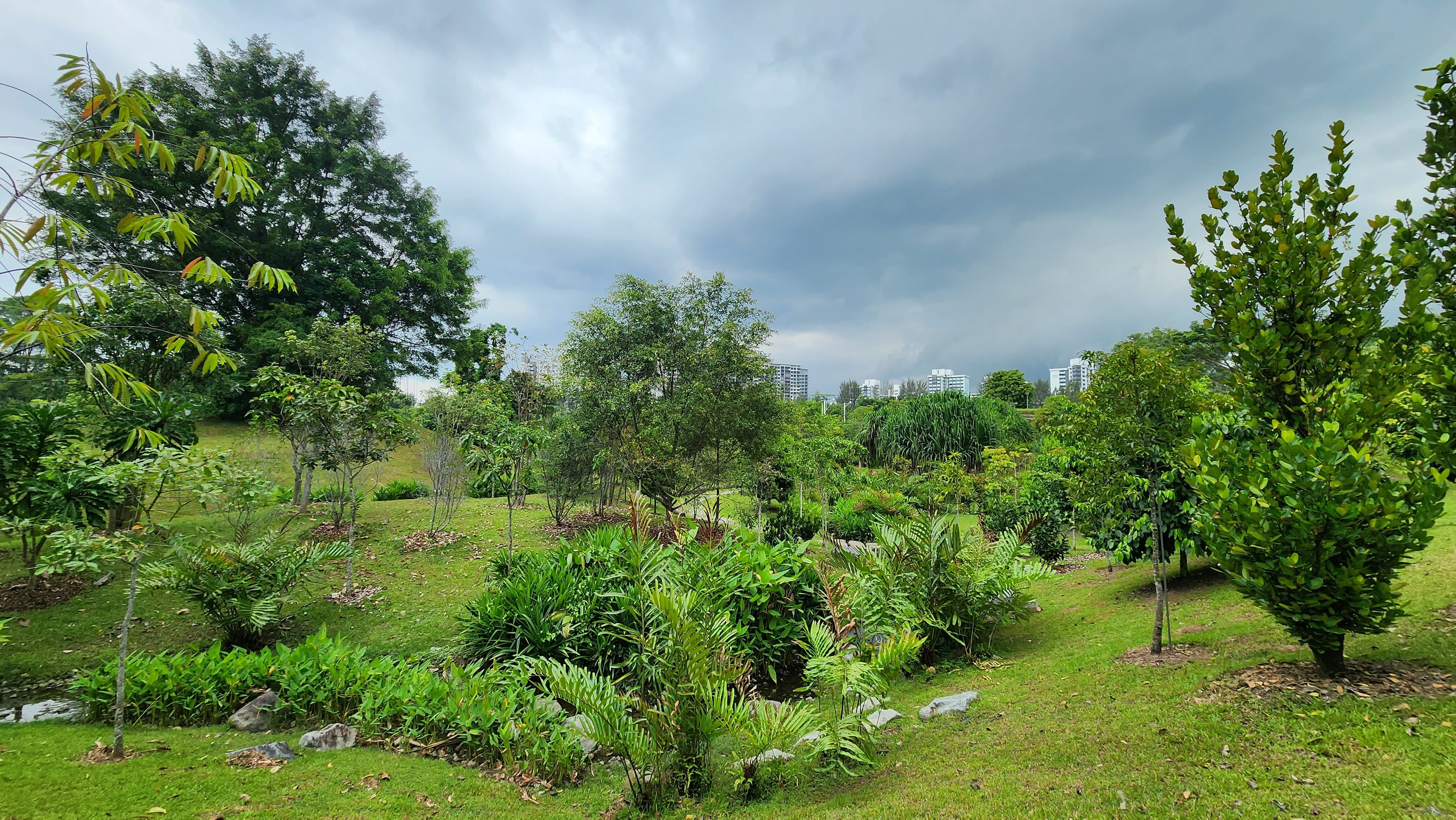 Neram Streams