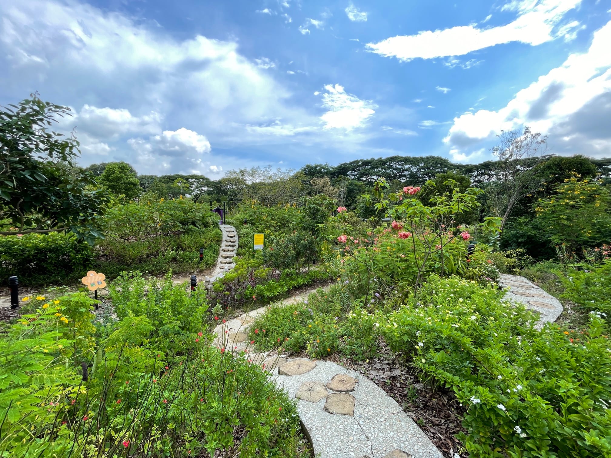 A vibrant garden with winding stone paths, lush green plants, colorful flowers, and a bright blue sky with scattered clouds.