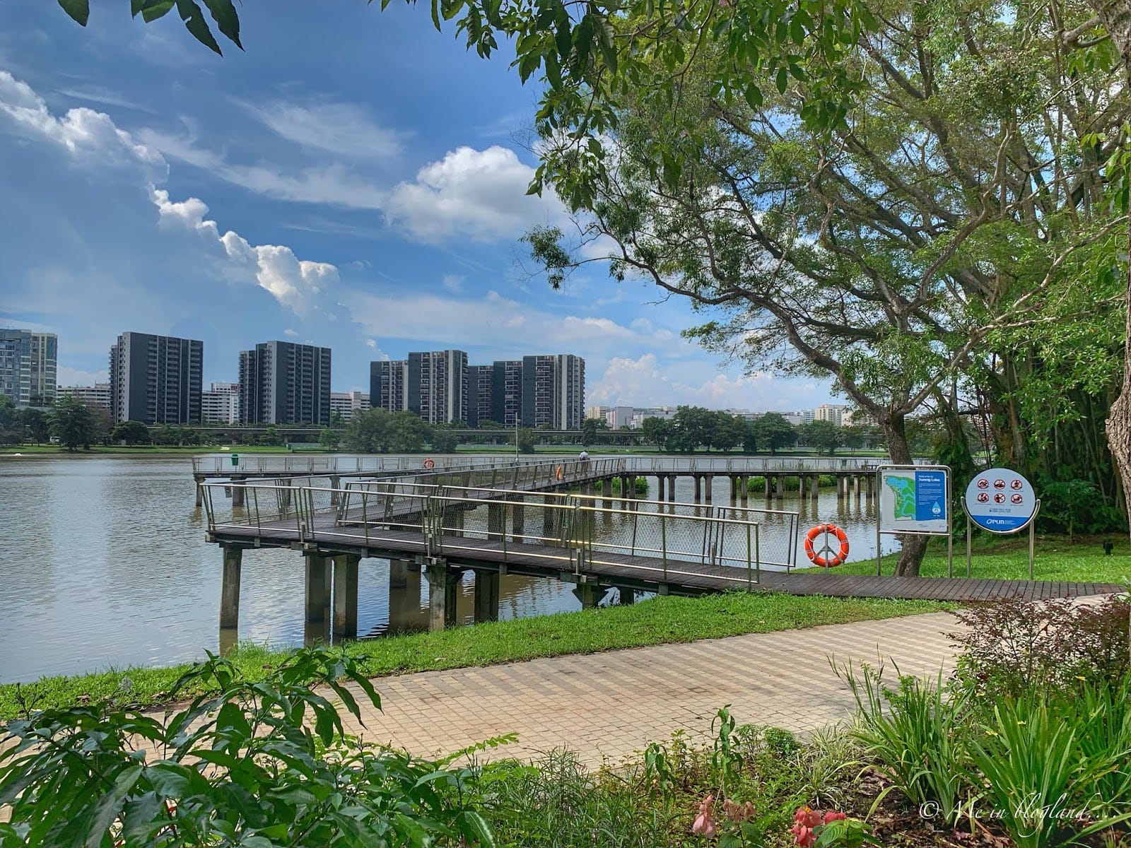 A wooden pier extends into a lake, with high-rise buildings in the background and leafy trees surrounding the area.