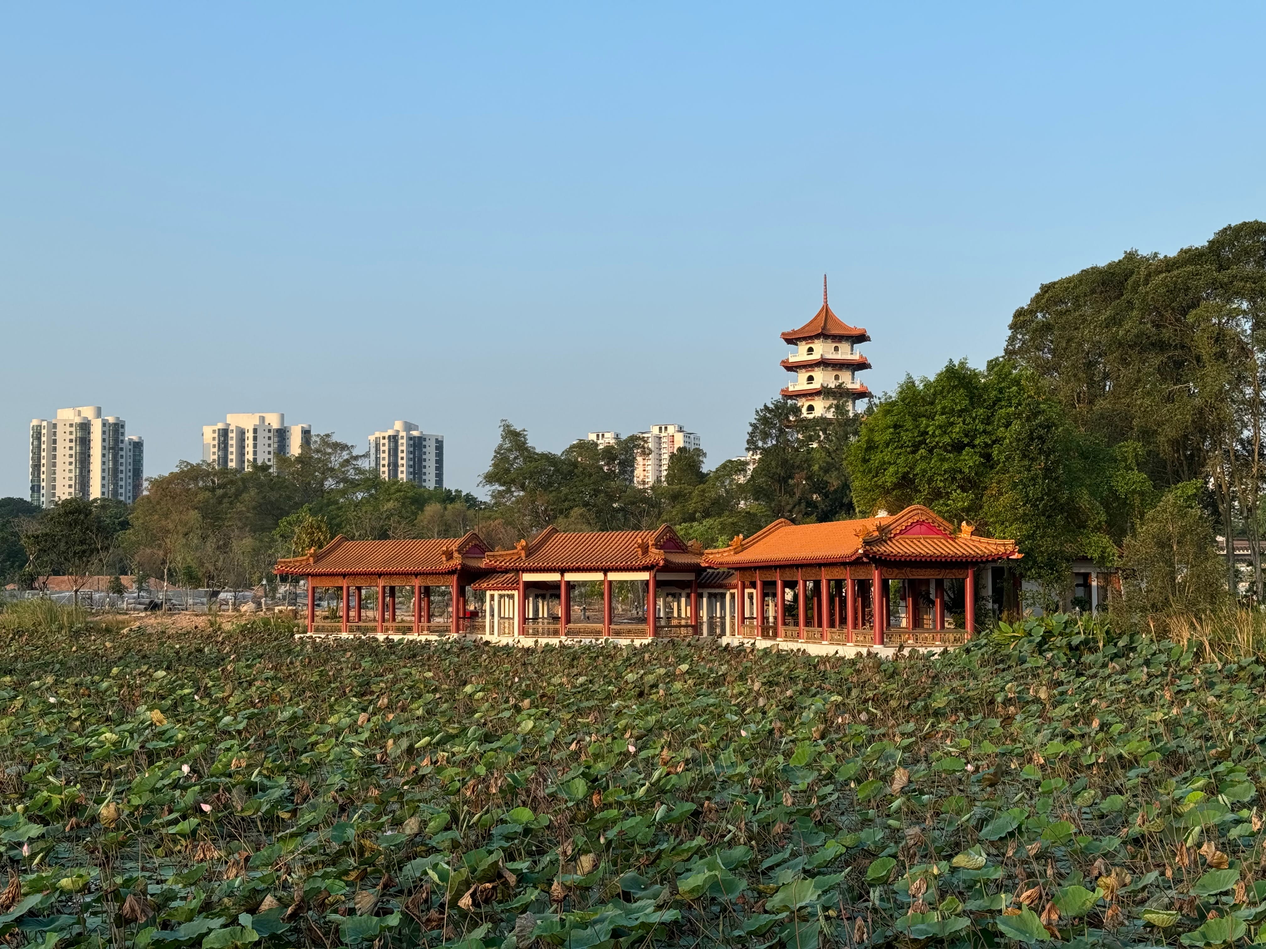 Tea Pavilion