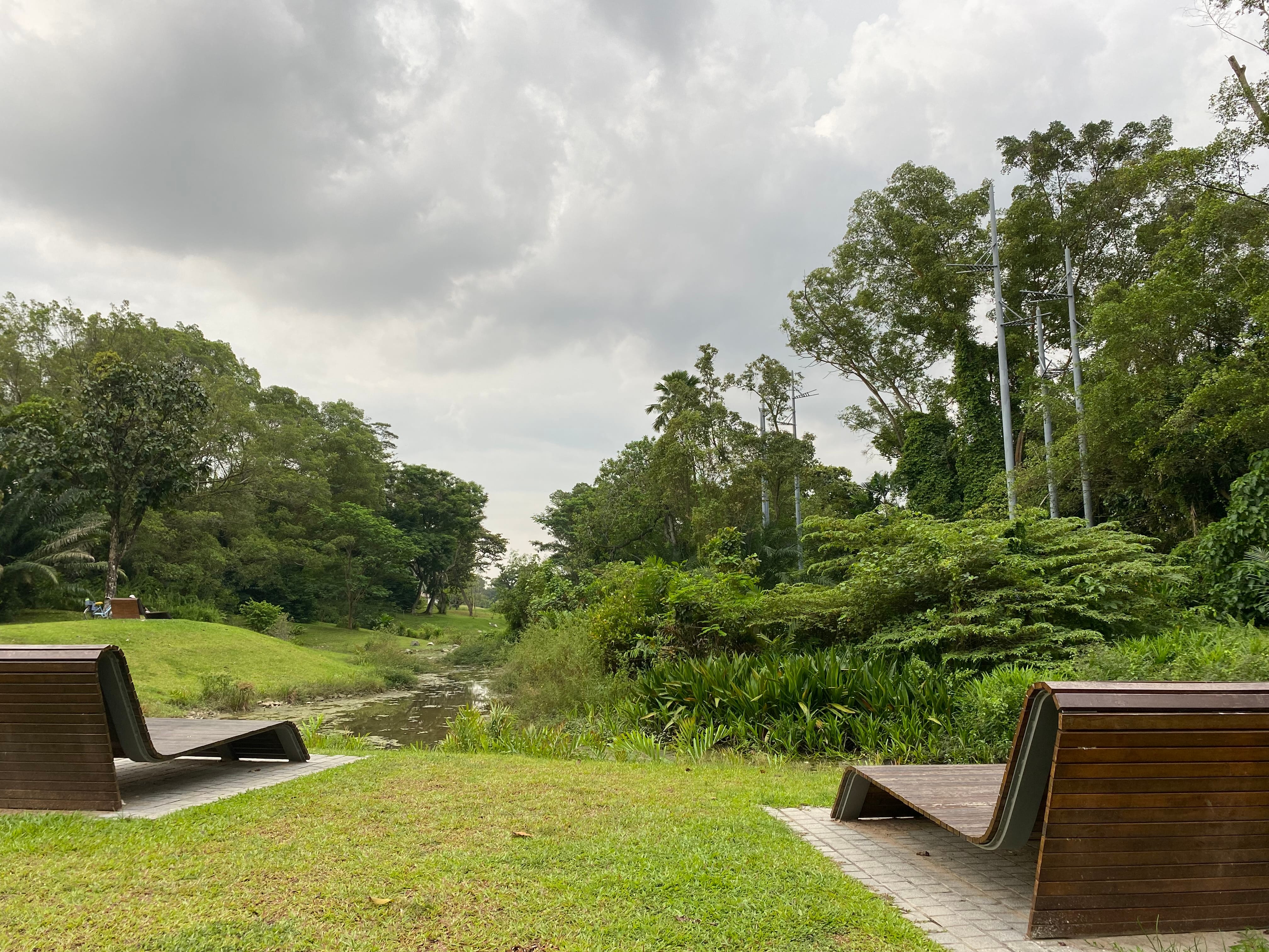 Two curved wooden benches facing a small stream surrounded by green trees and grass under a cloudy sky.