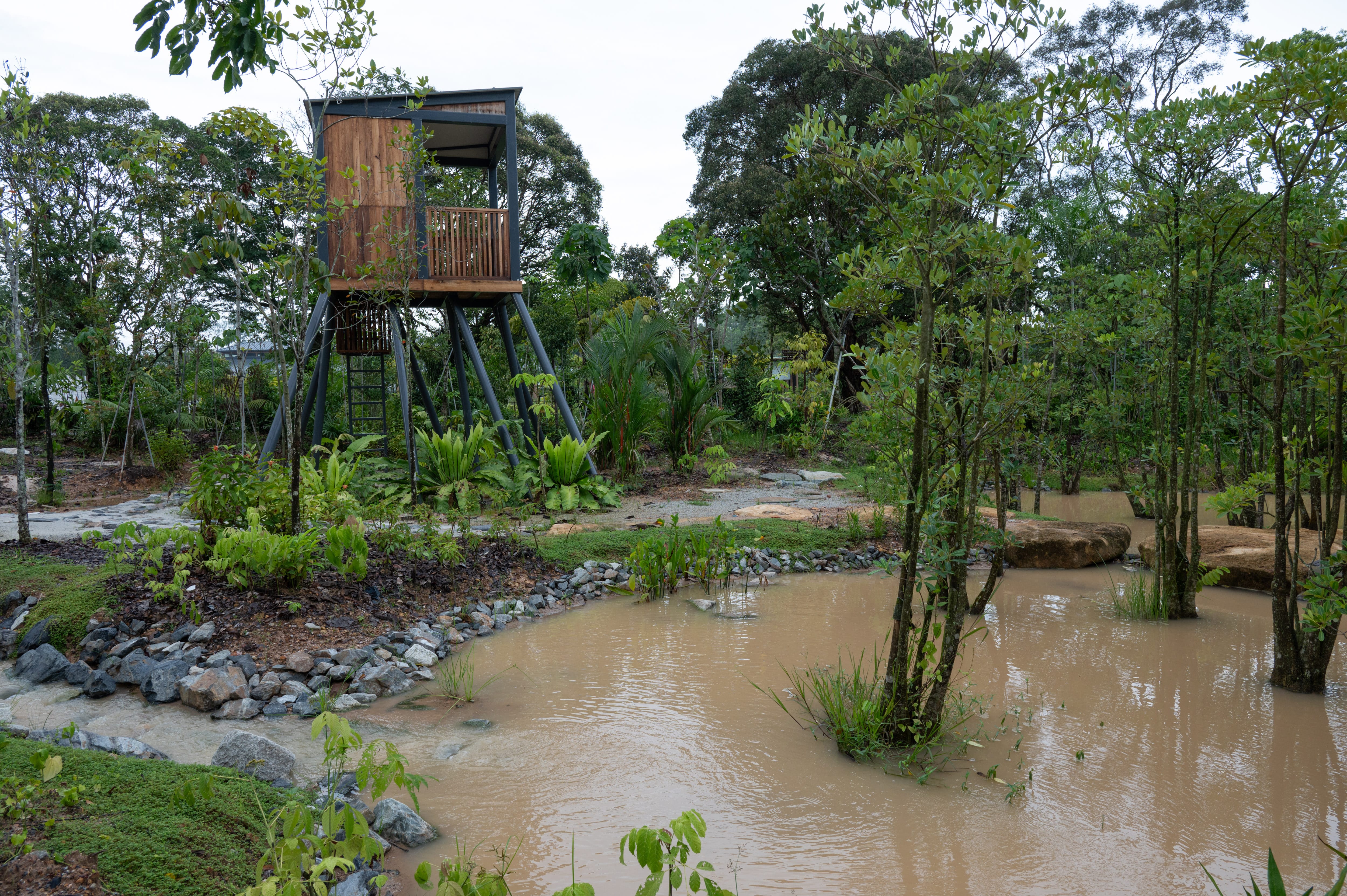 A wooden treehouse stands on stilts near a muddy pond surrounded by lush greenery and trees.
