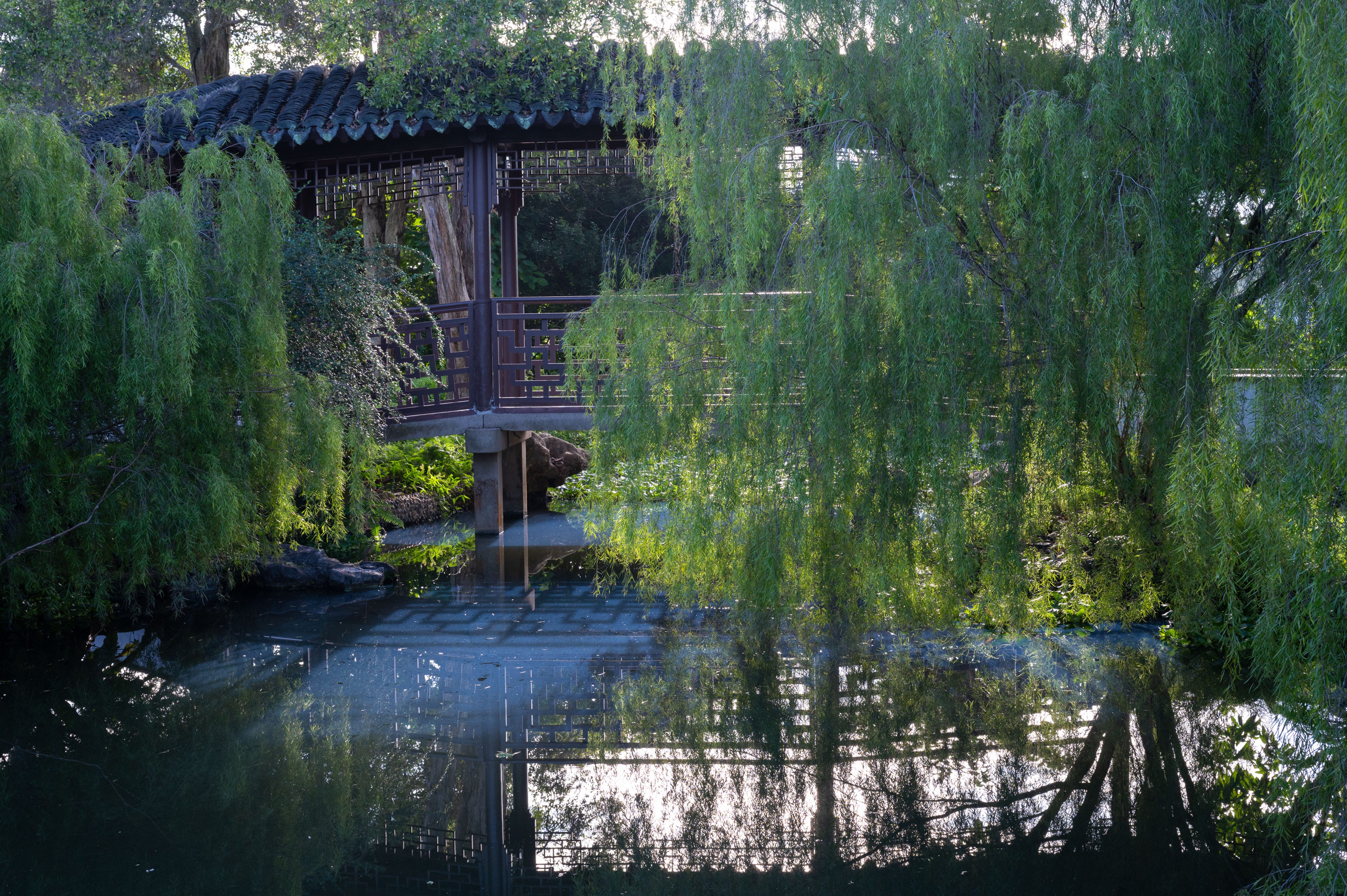 An Asian-style wooden bridge over a calm pond surrounded by lush trees and greenery.