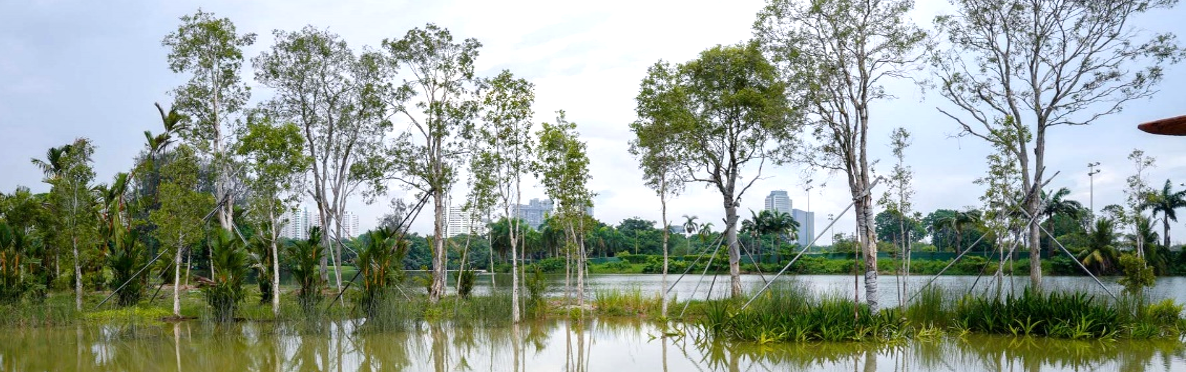 Trees and plants surround a calm lake with buildings visible in the distance under a partly cloudy sky.