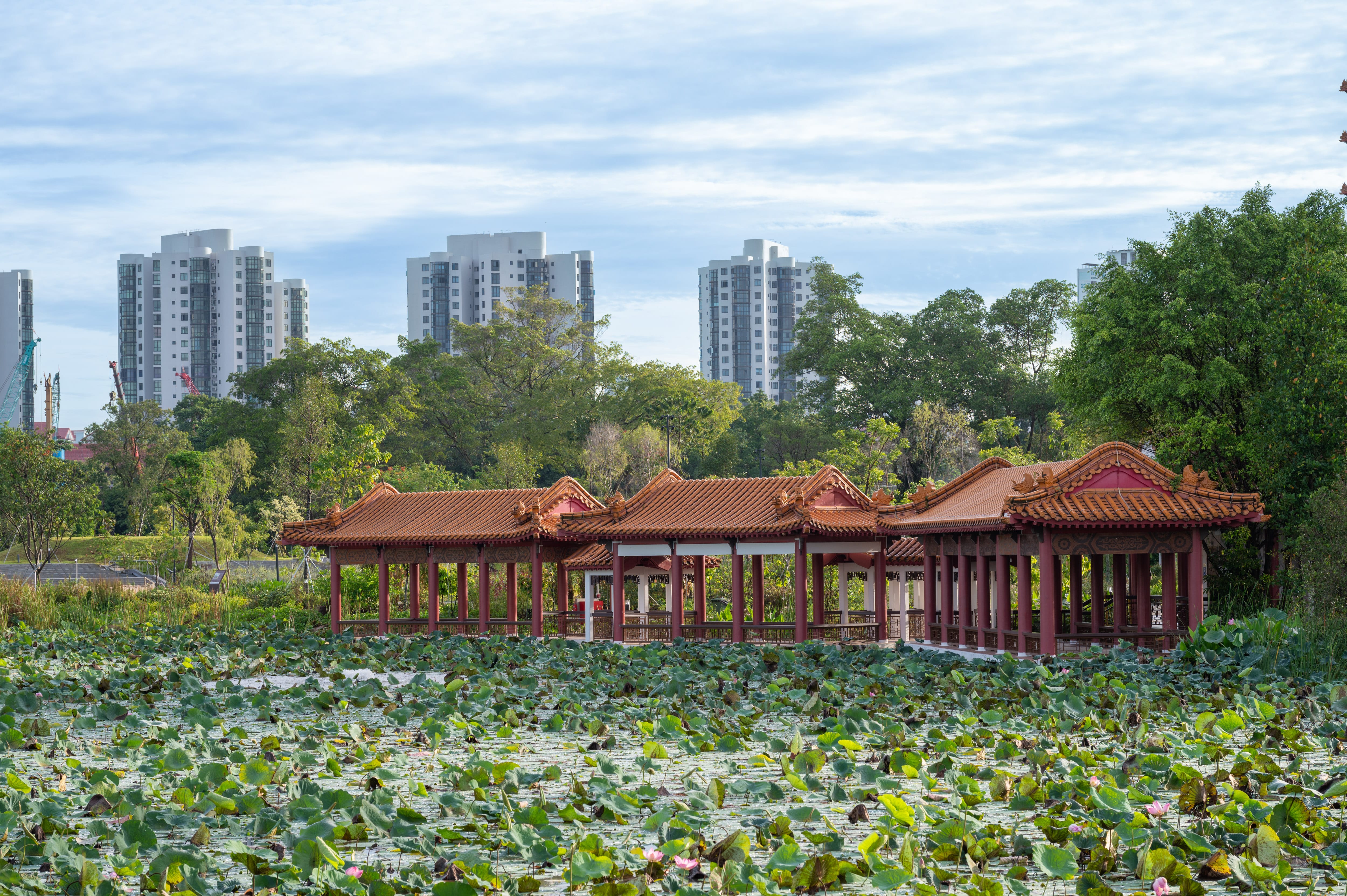 A traditional pavilion over a pond with water lilies, surrounded by lush trees and modern high-rise buildings in the background.