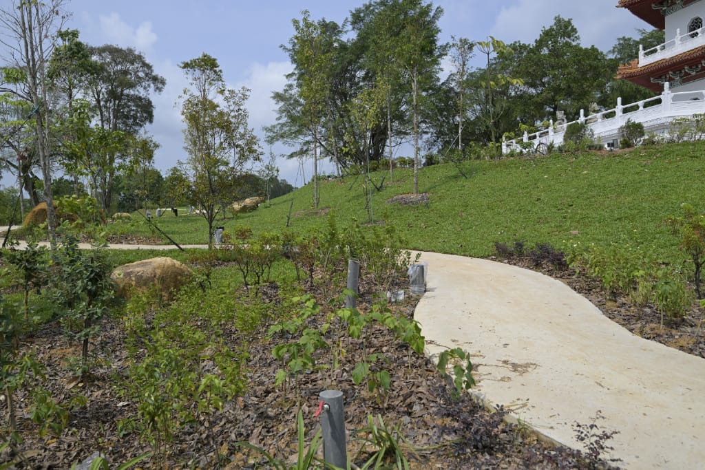 A concrete path winds through a green garden with trees and bushes, leading to a building with white railings.