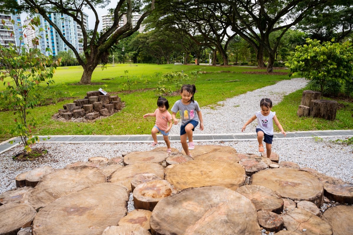 Three children are stepping on large tree stumps arranged in a park with green grass, trees, and a gravel path.
