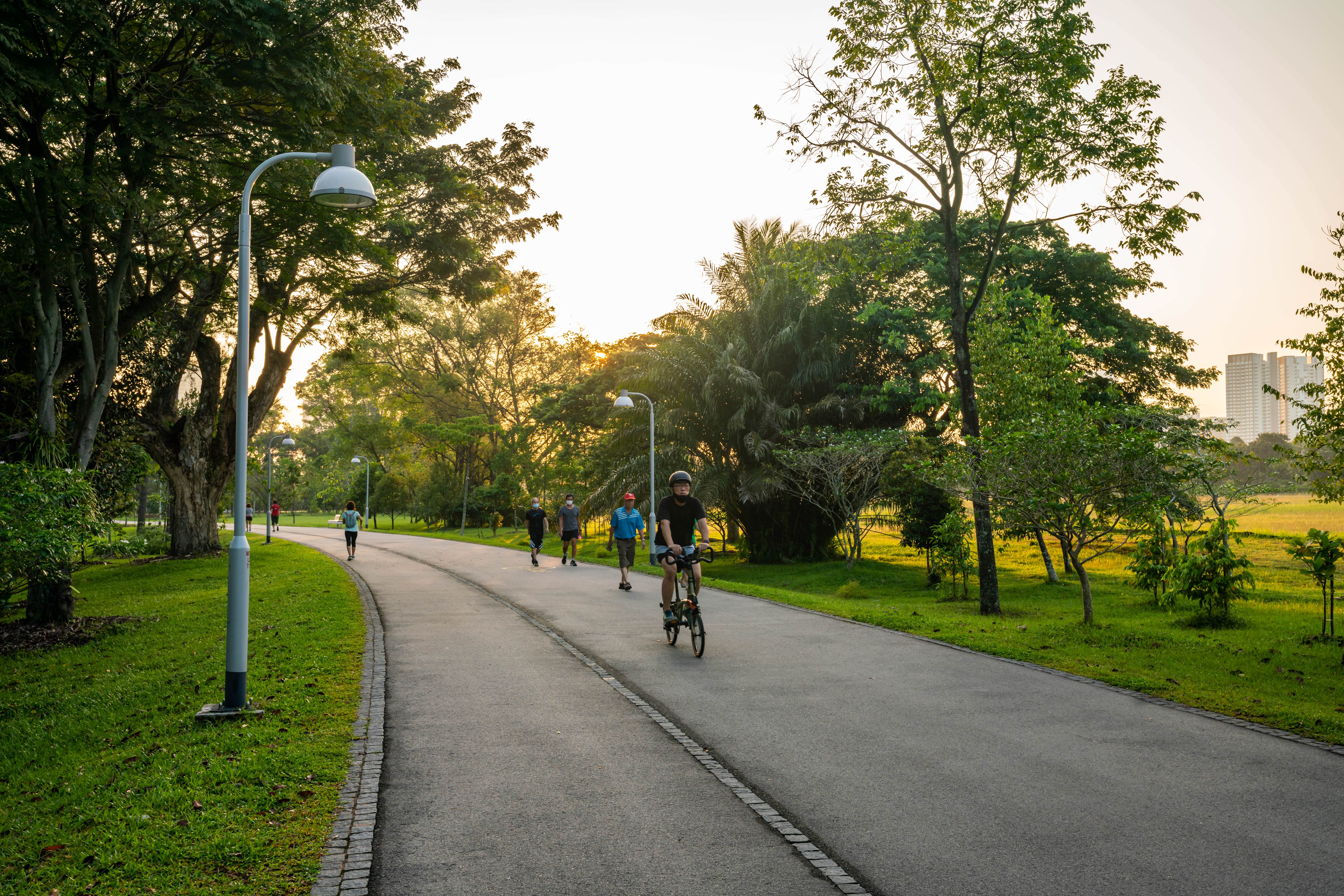 People walking and cycling on a paved path through a lush park at sunset, with trees and lampposts on both sides.