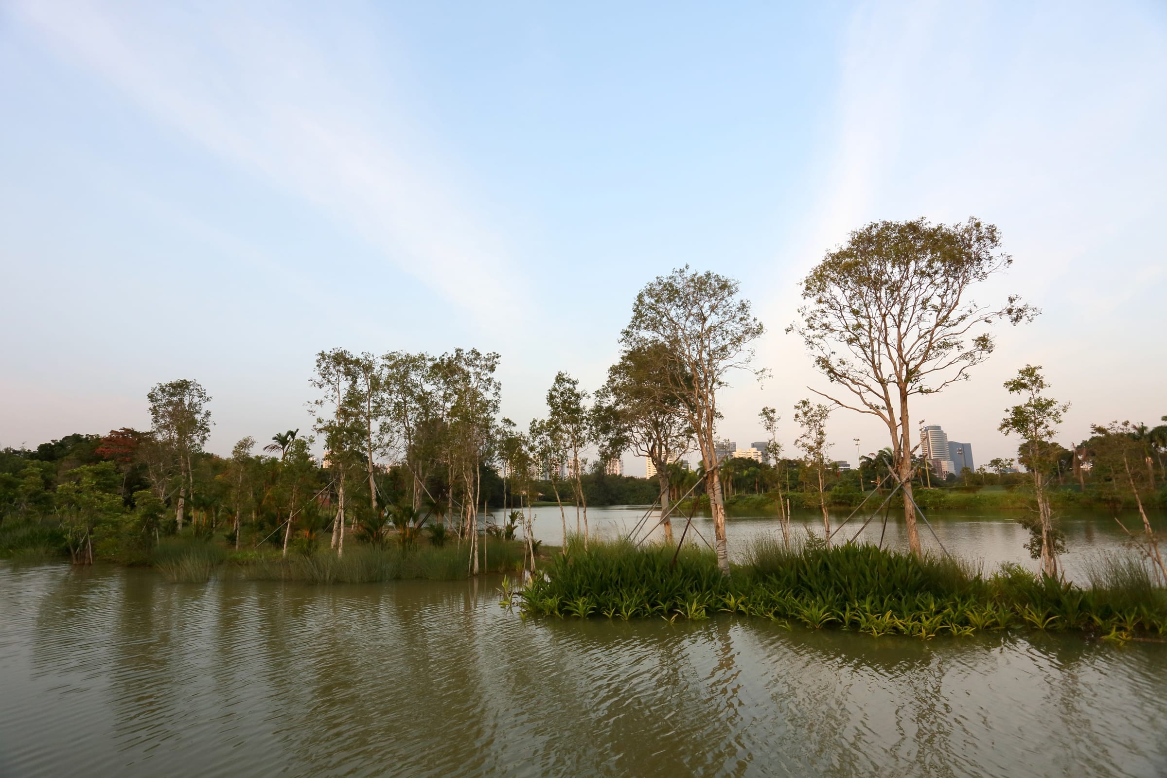Trees and shrubs grow along a riverbank, with tall buildings visible in the distant background under a clear sky.