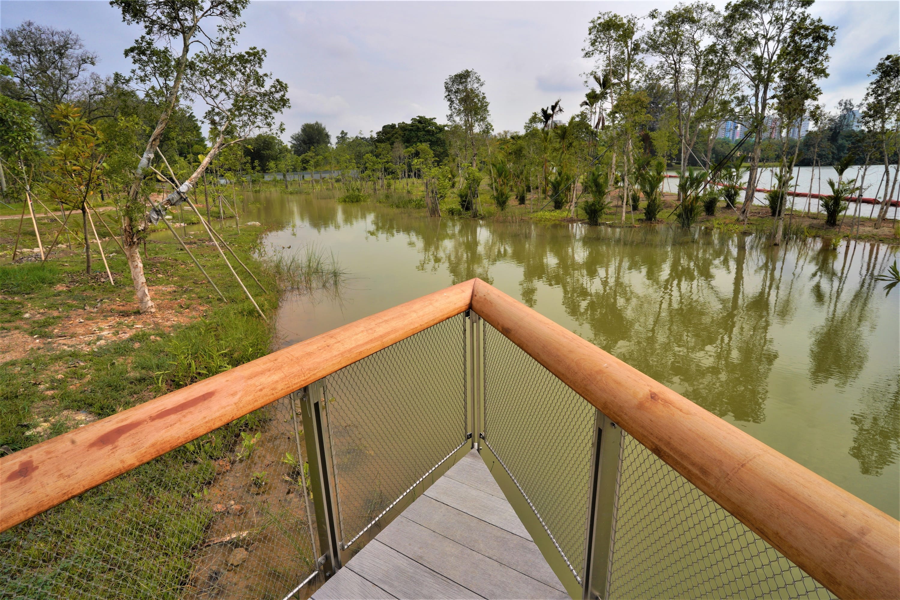 A wooden-railed observation deck overlooking a pond surrounded by trees and greenery.