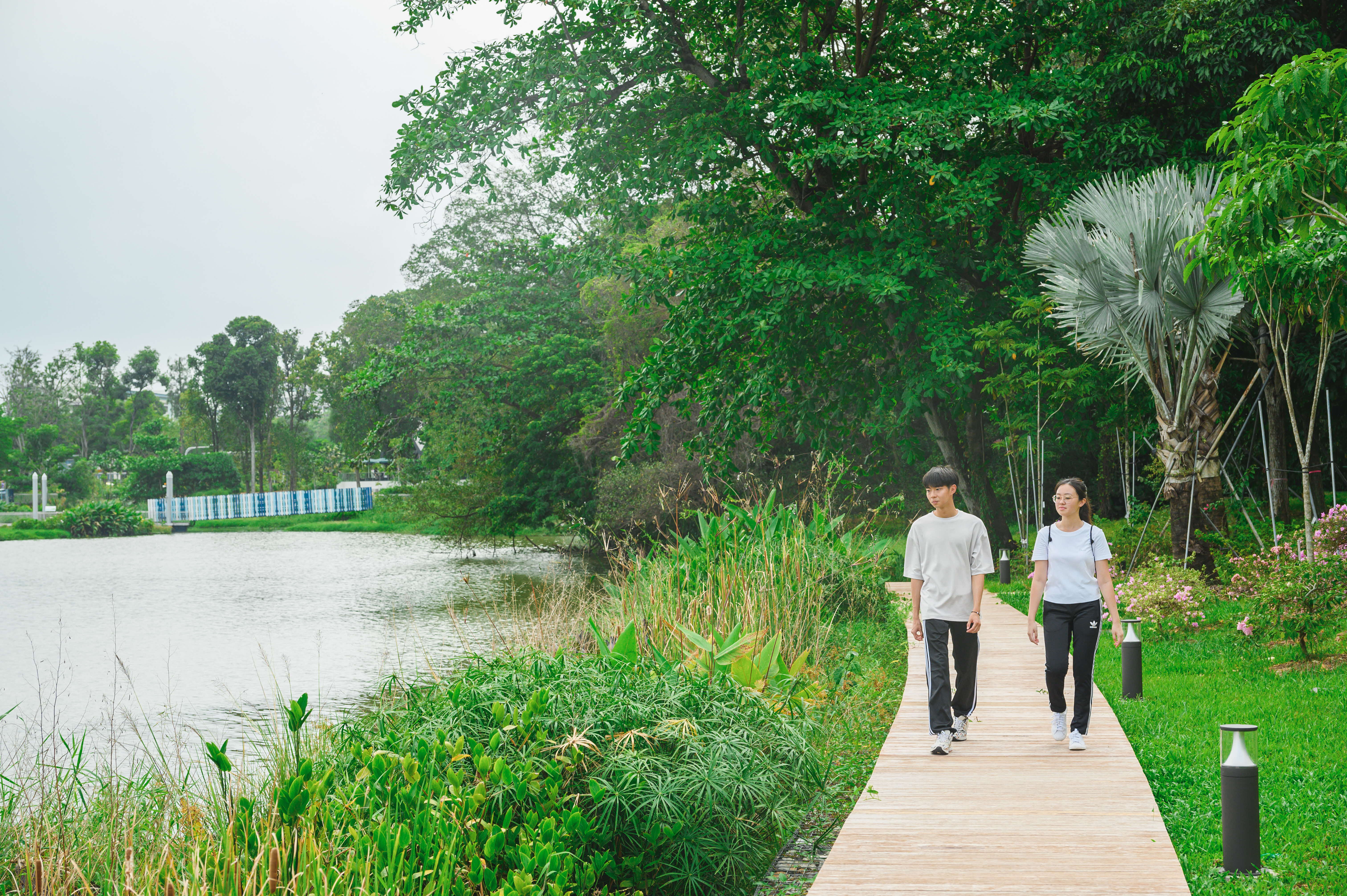 Two people walk on a wooden pathway surrounded by lush greenery with a large pond to their left.