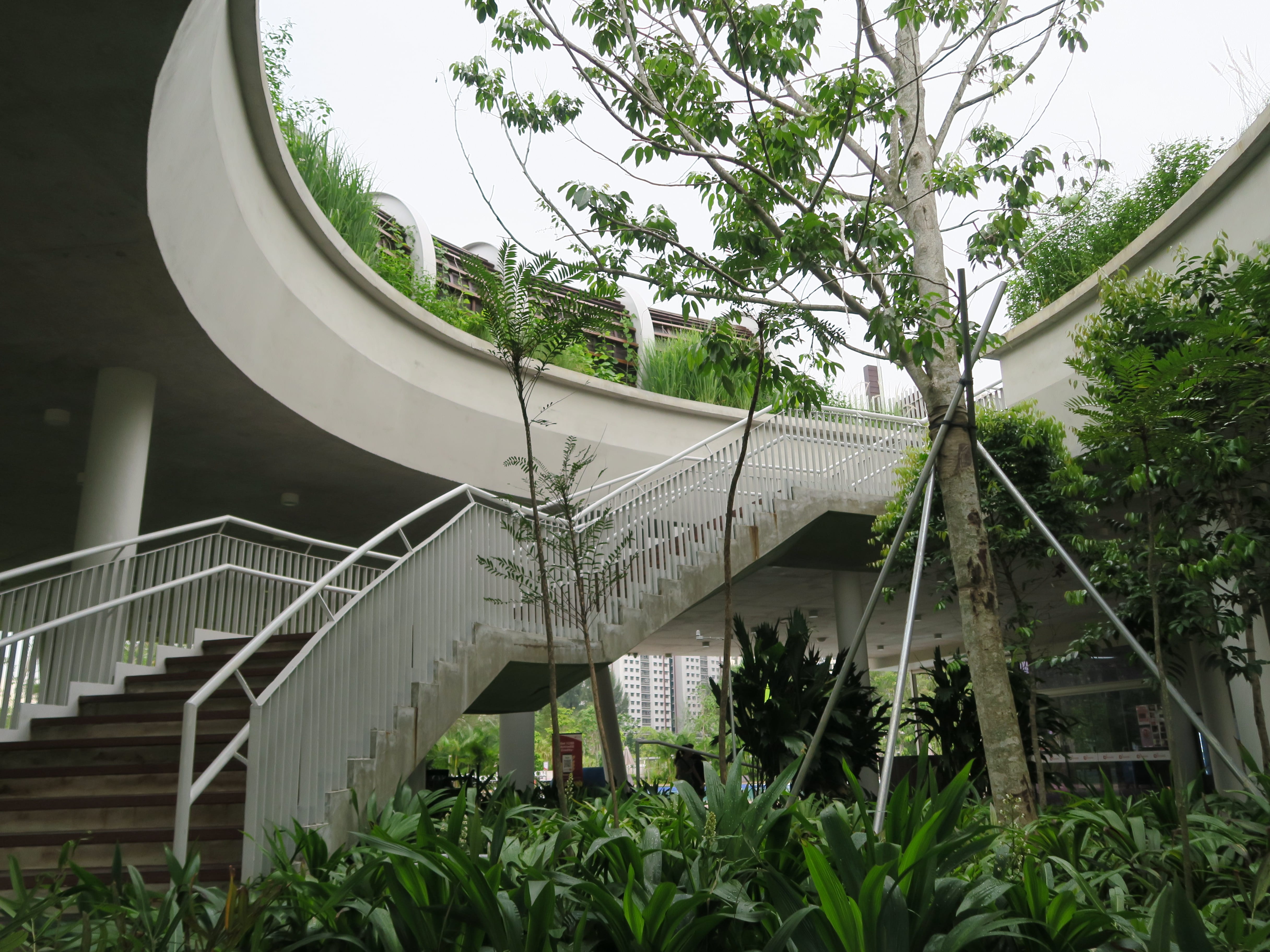 Curved concrete structure with stairs, surrounded by plants and trees.
