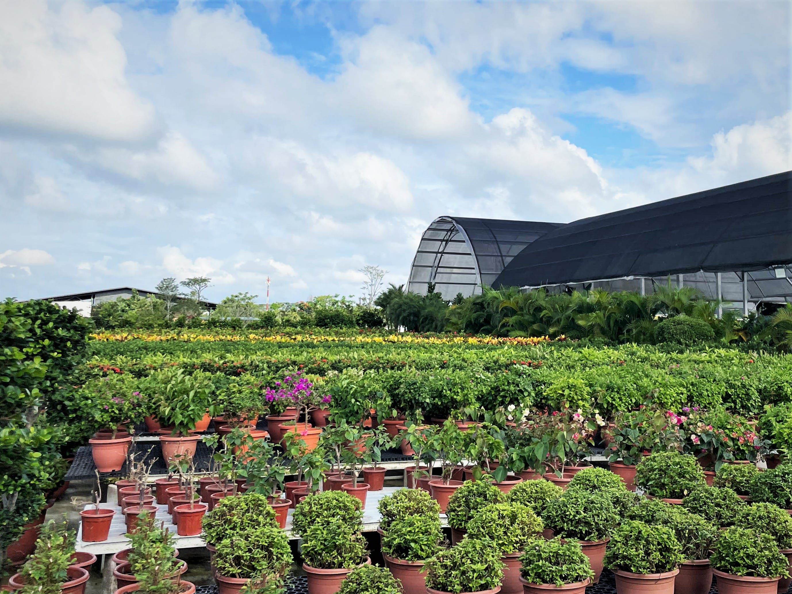 Nursery Accreditation Scheme / Control of Plants Act (COPA) Farm License