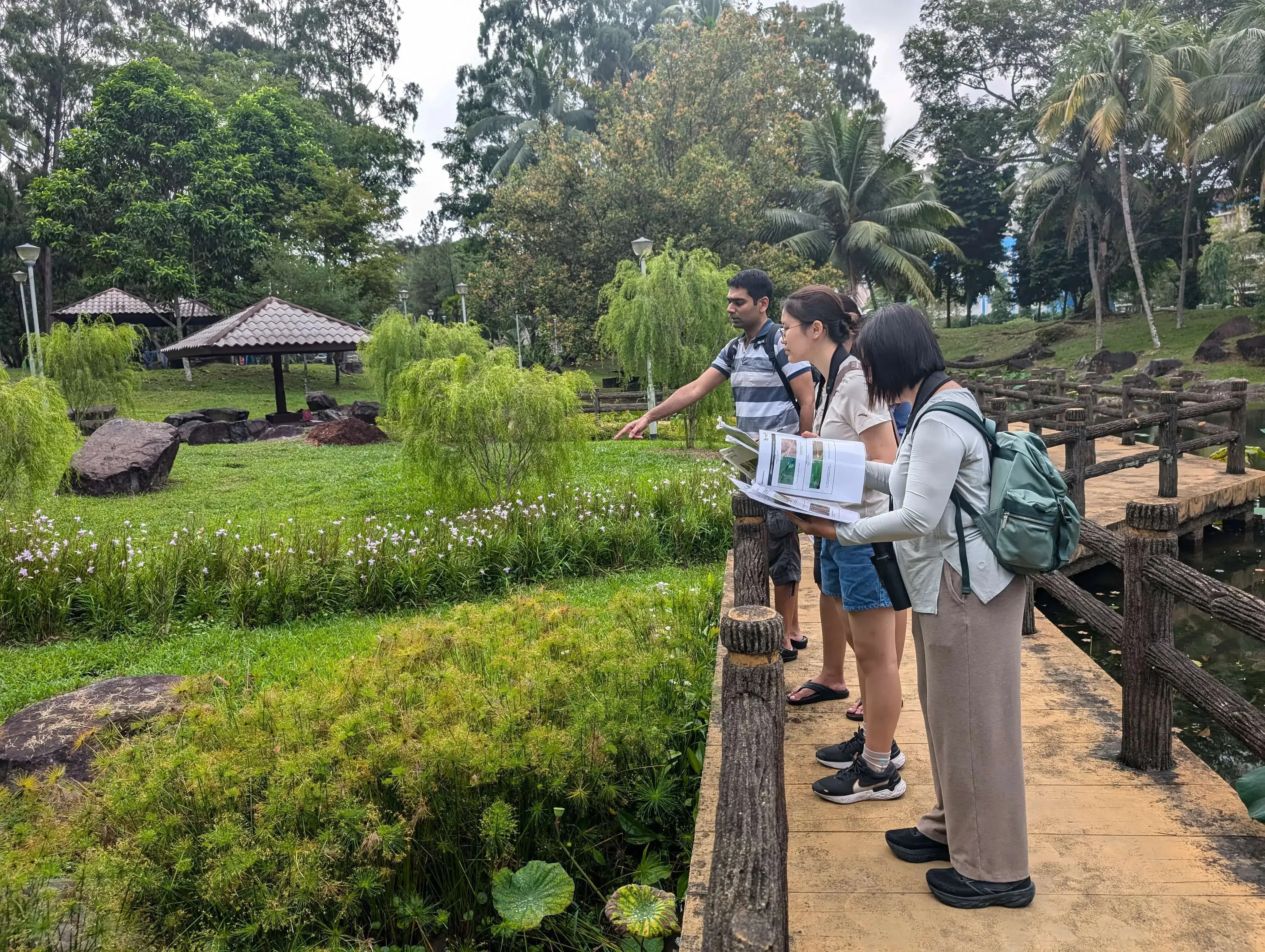 Nature Kakis citizen science survey of dragonflies in Bishan-Ang Mo Kio Park