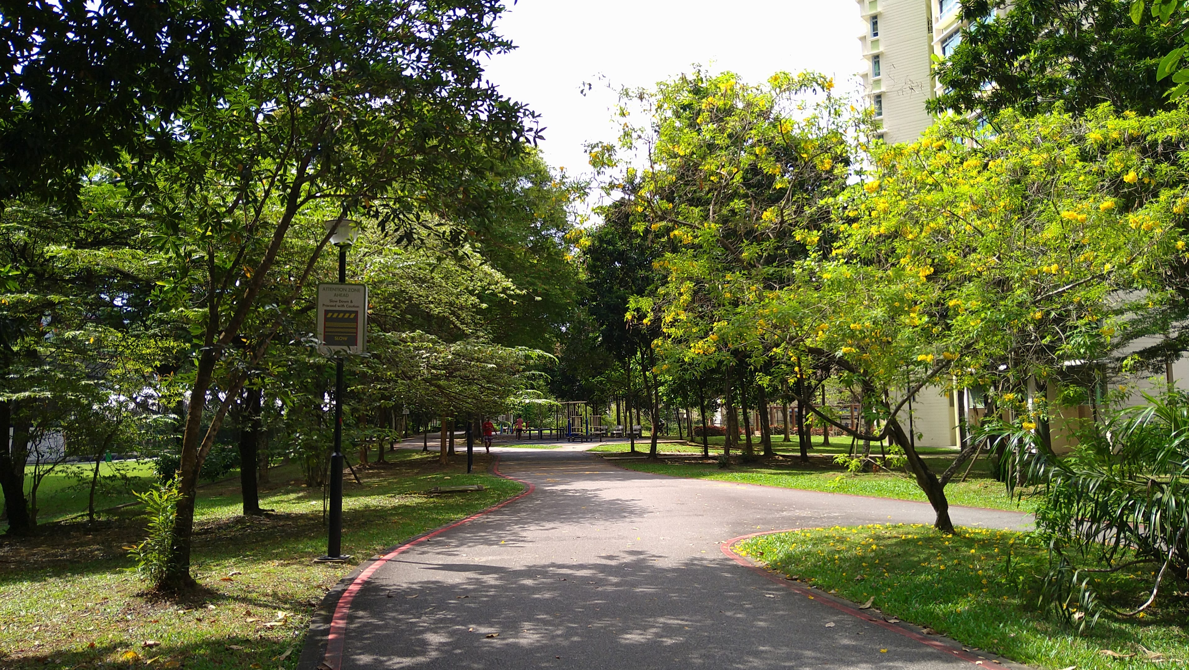 Built on top of a covered canal, Alexandra Canal Linear Park is a unique park connector linking Commonwealth Ave to Tanglin Road. It starts from Queenstown MRT Station and runs along Strathmore and Dawson Estate before ending at Tanglin Road, where it leads to Alexandra Park Connector.