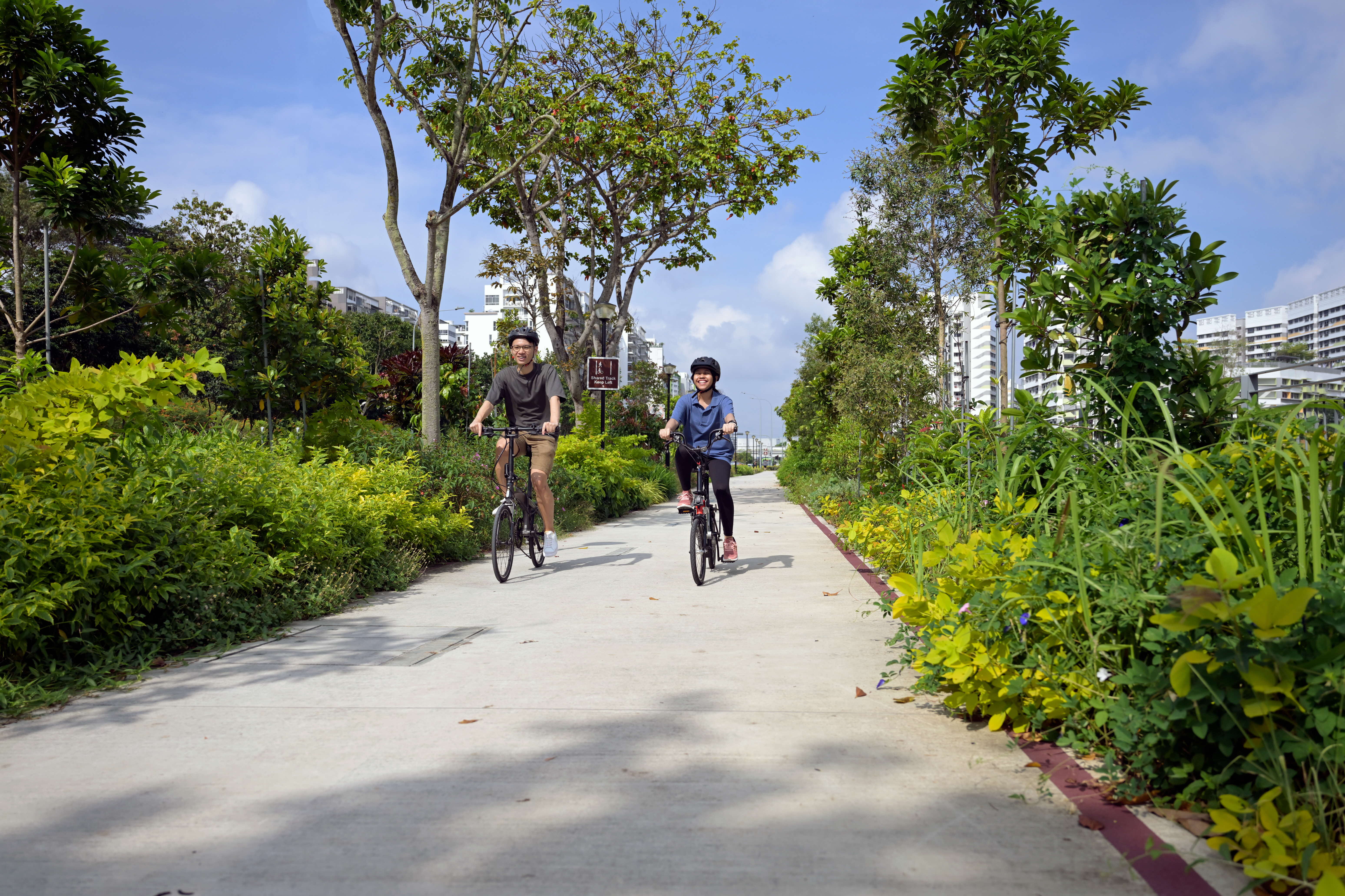 Two people ride bikes on a pathway surrounded by lush greenery and trees on a sunny day.