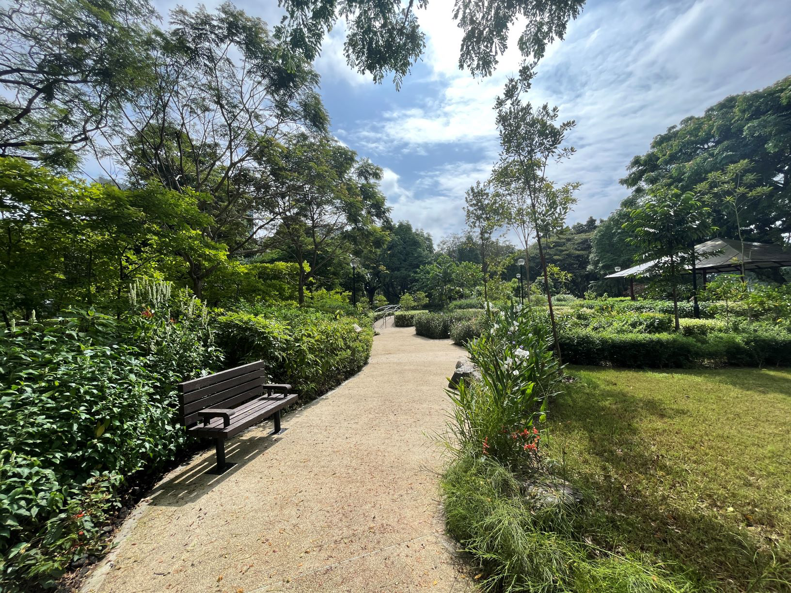 Curving park path bordered by lush greenery, with a bench on the left under trees and a bright sky above.