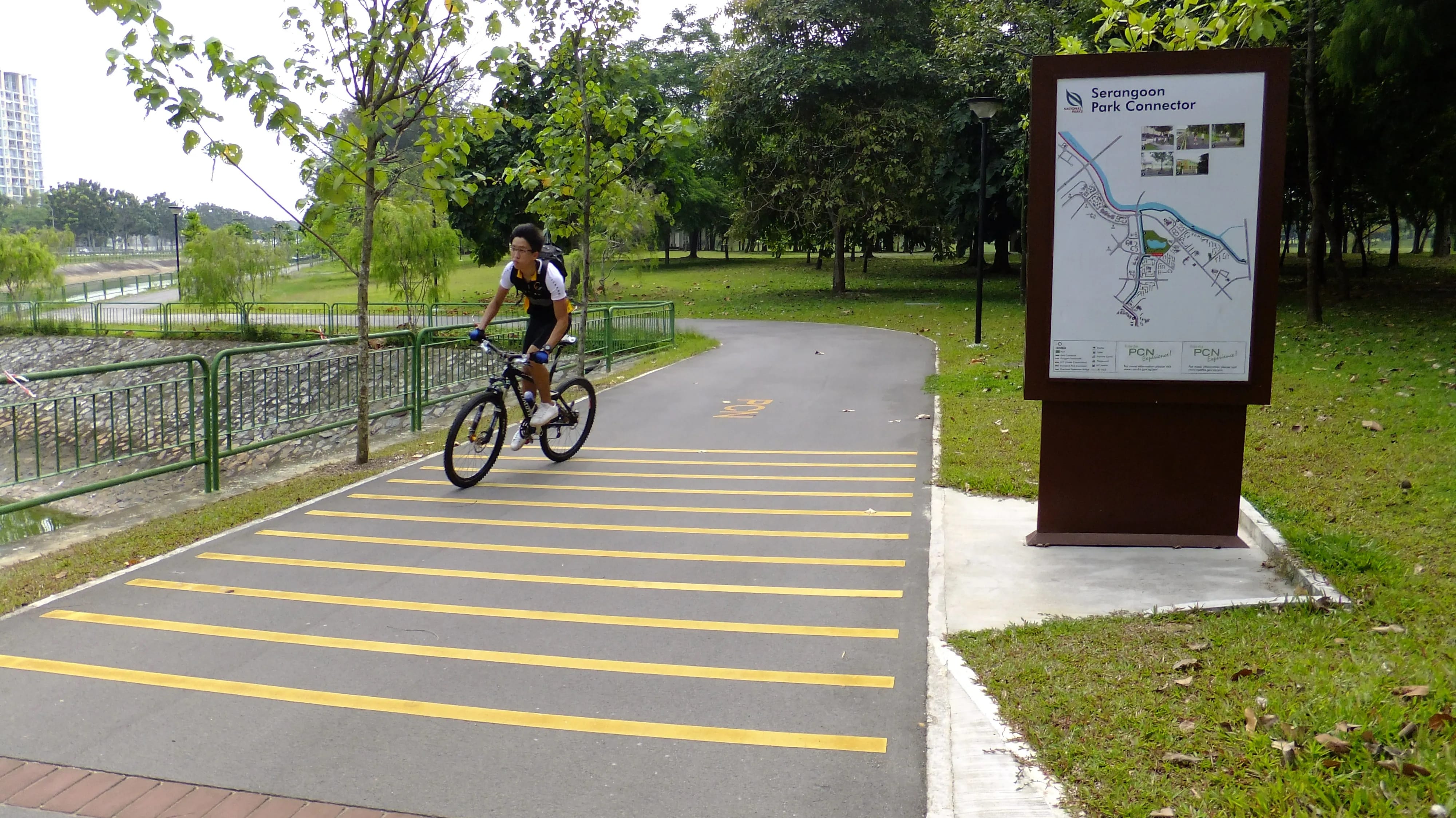 A person on a bicycle rides on a bike path in a park next to a sign labeled "Serangoon Park Connector."
