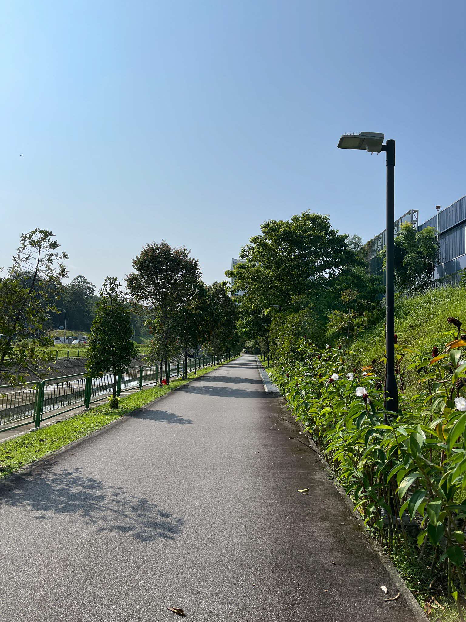 A paved path lined with green plants and trees stretches into the distance under a clear blue sky.