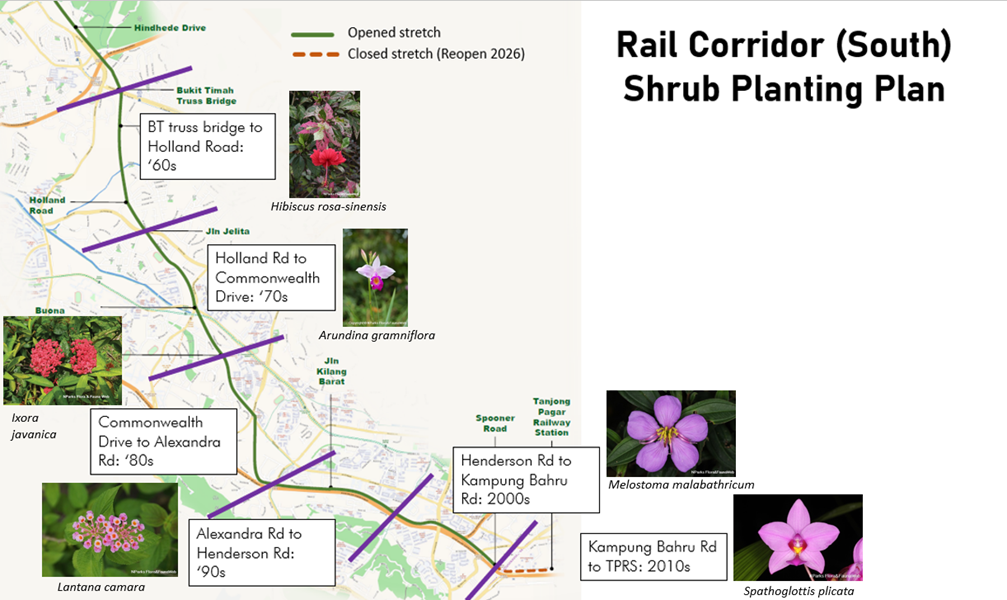 Map of Rail Corridor (South) Shrub Planting Plan shows areas with different plants marked by stretch and decade.