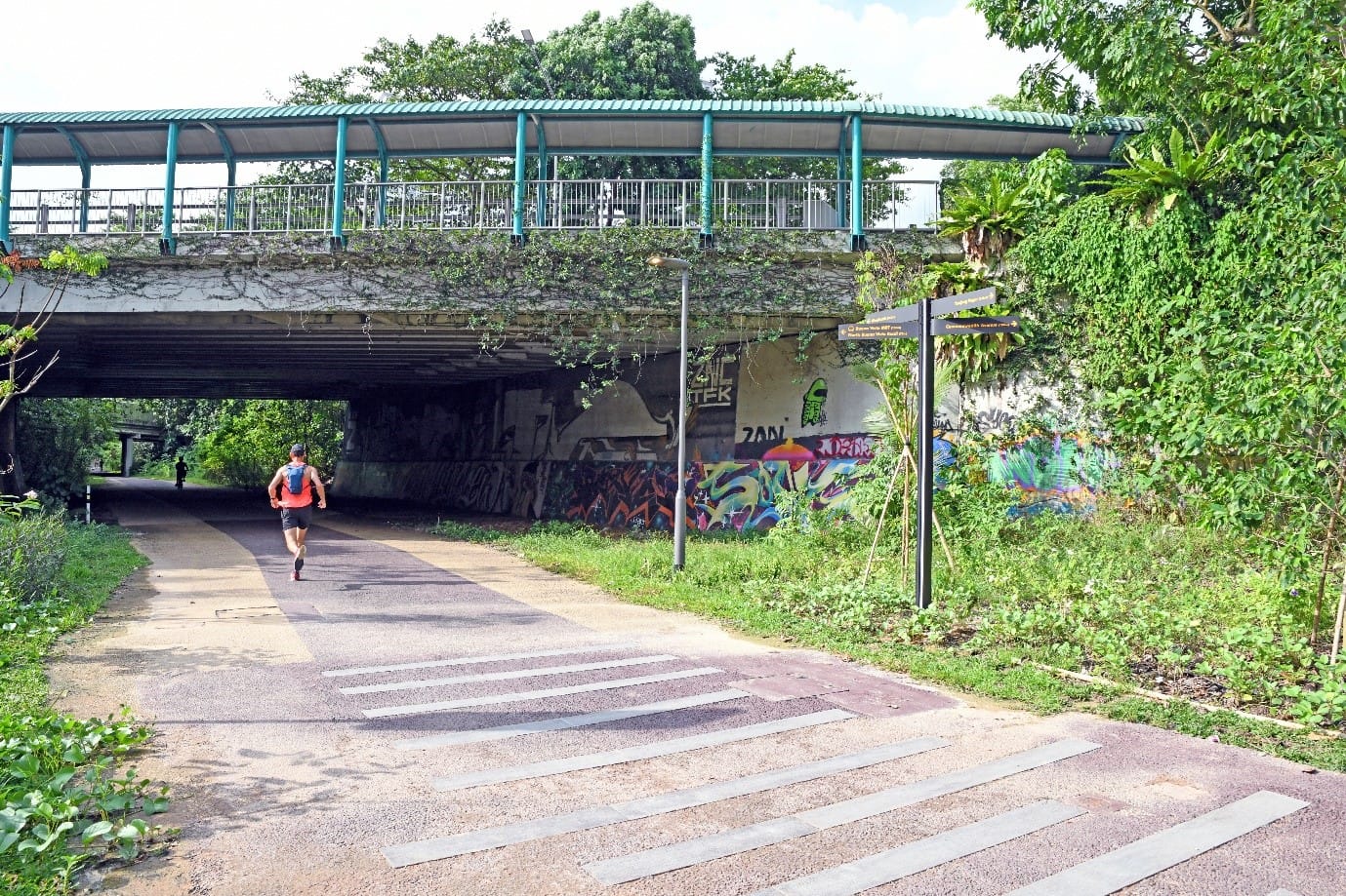 A jogger runs towards a graffiti-covered underpass, with lush greenery, a pedestrian bridge, and direction signs nearby.