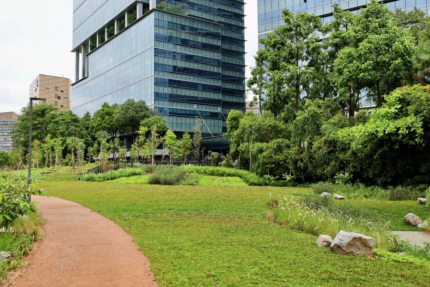 A paved path in a green park area with shrubs and trees leads to modern glass buildings in the background.