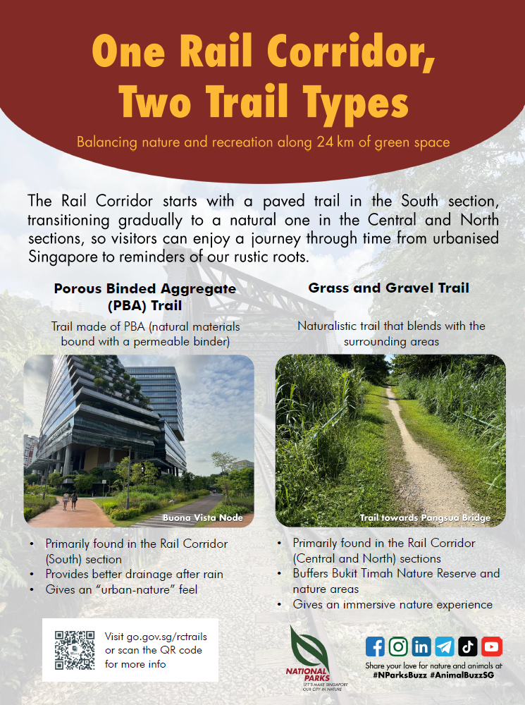 One Rail Corridor, Two Trail Types poster