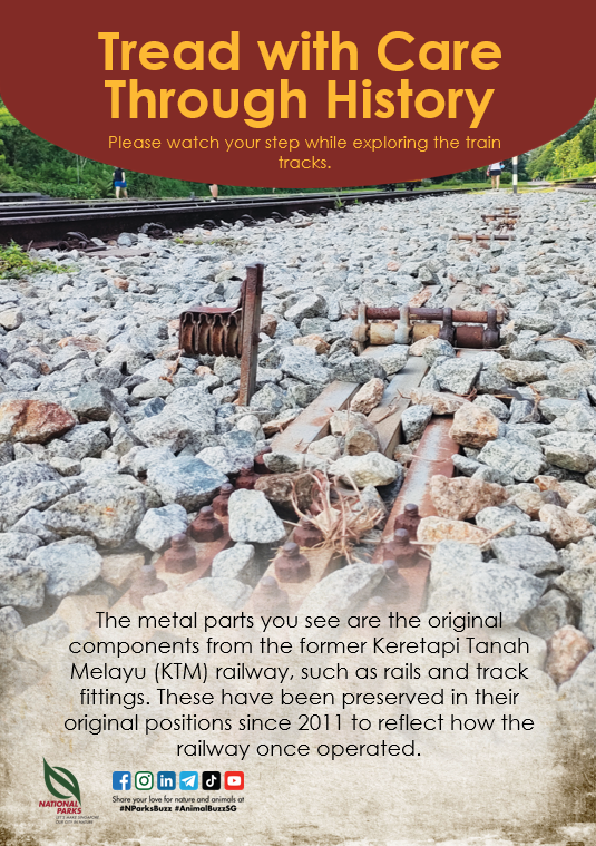 Mind your step while exploring the train tracks