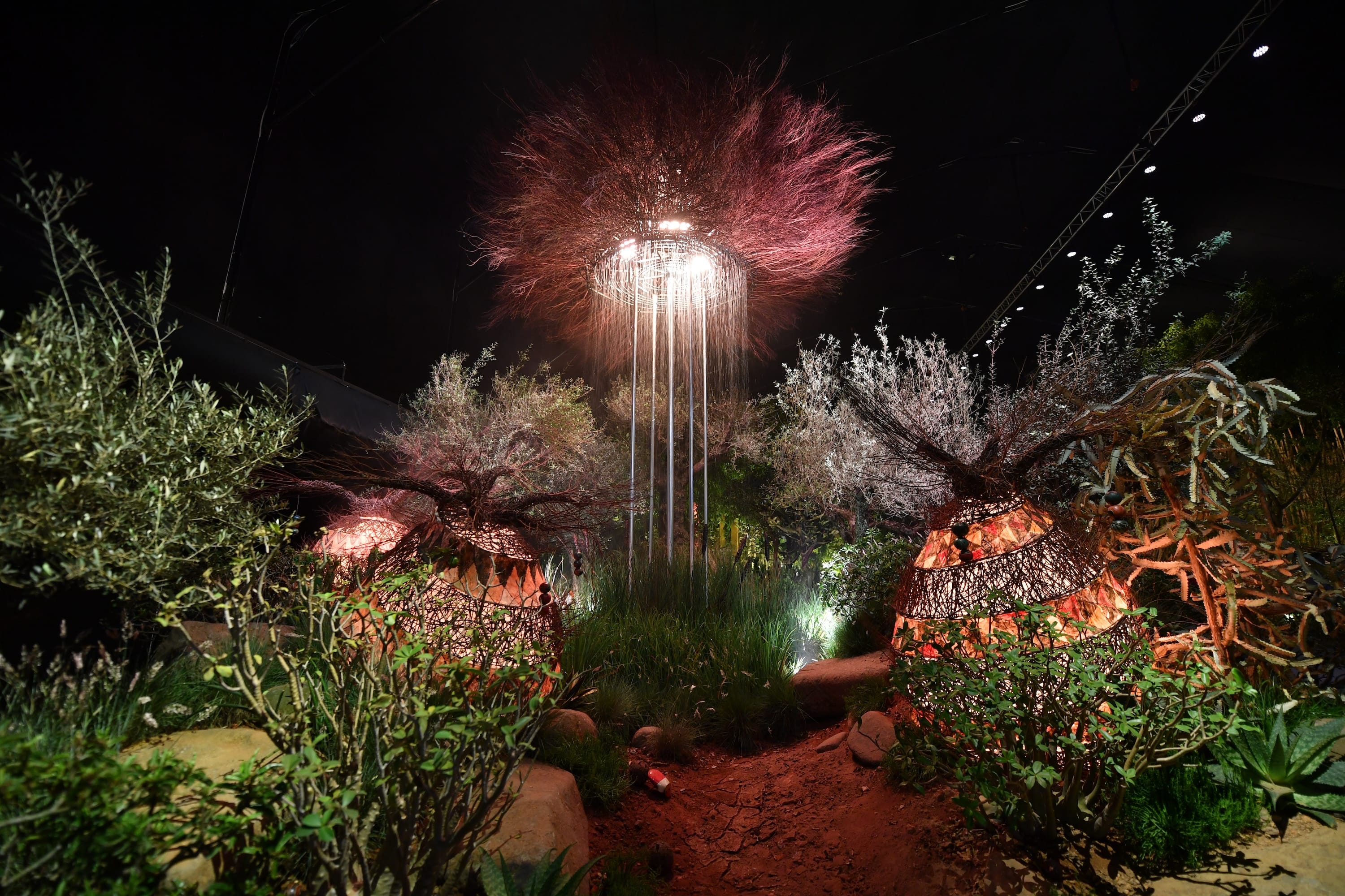 A dark garden scene with illuminated wire sculptures resembling trees, surrounded by plants and stones.