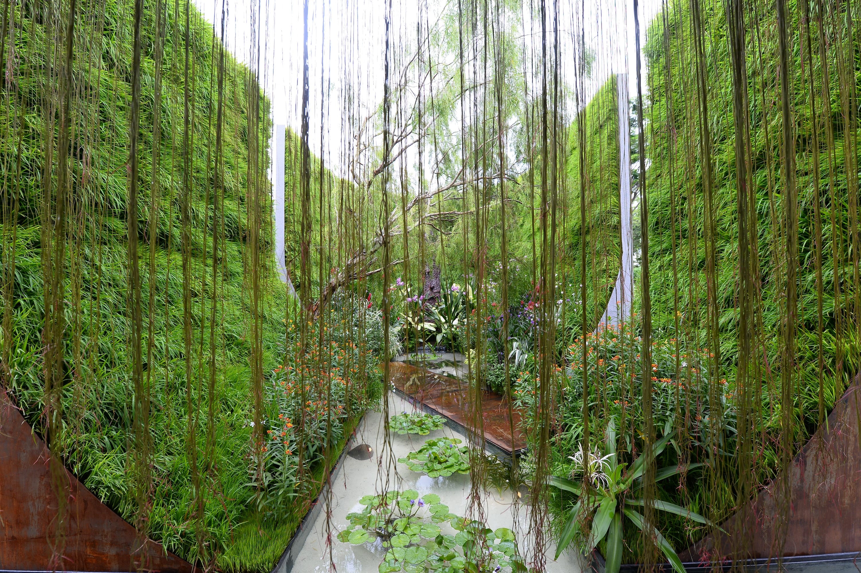 A lush garden features tall green walls, hanging vines, various flowers, and a water pond with lily pads in the center.