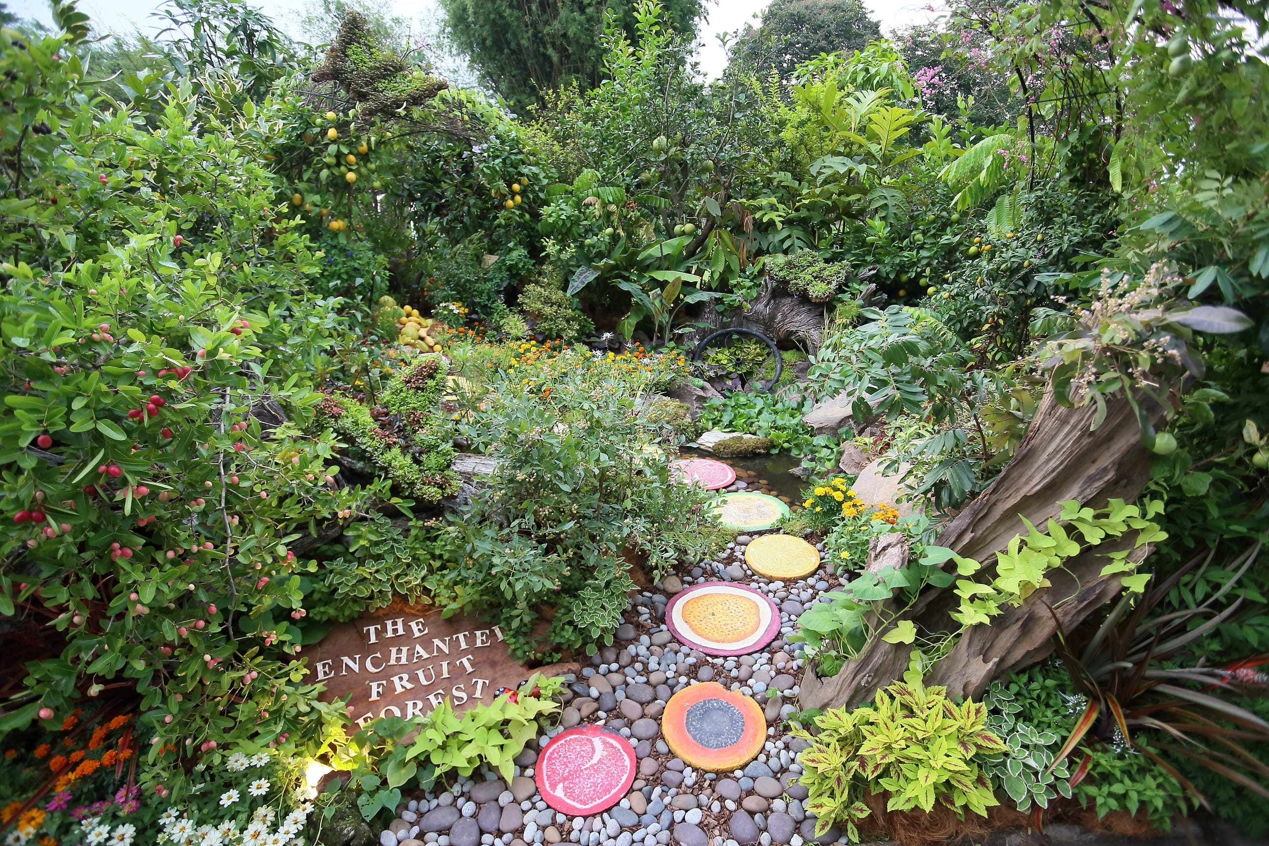 A lush garden features fruit trees, colorful stepping stones, and a sign that reads "The Enchanted Fruit Forest."