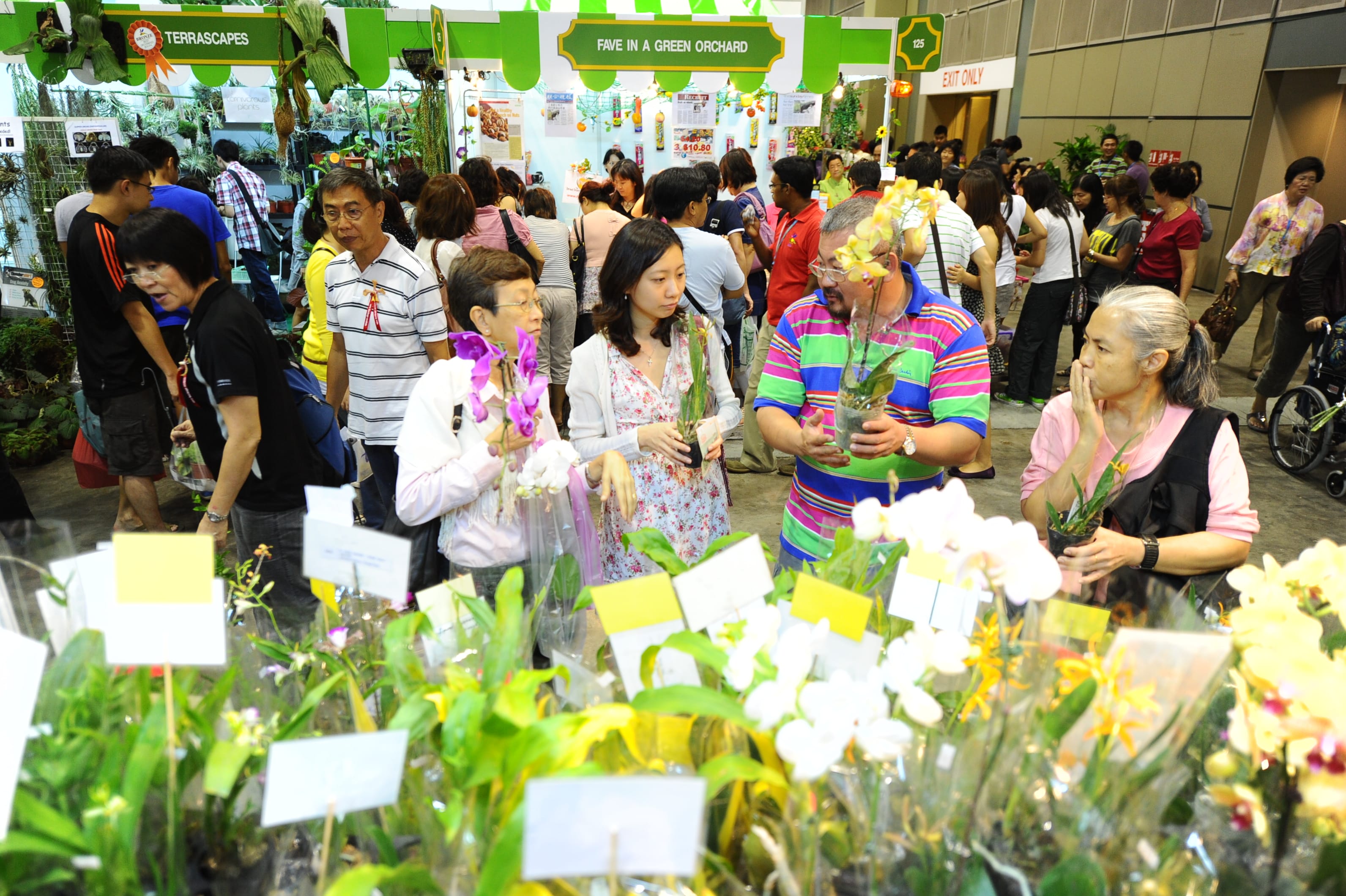 People are examining plants and flowers at a crowded indoor garden exhibition.