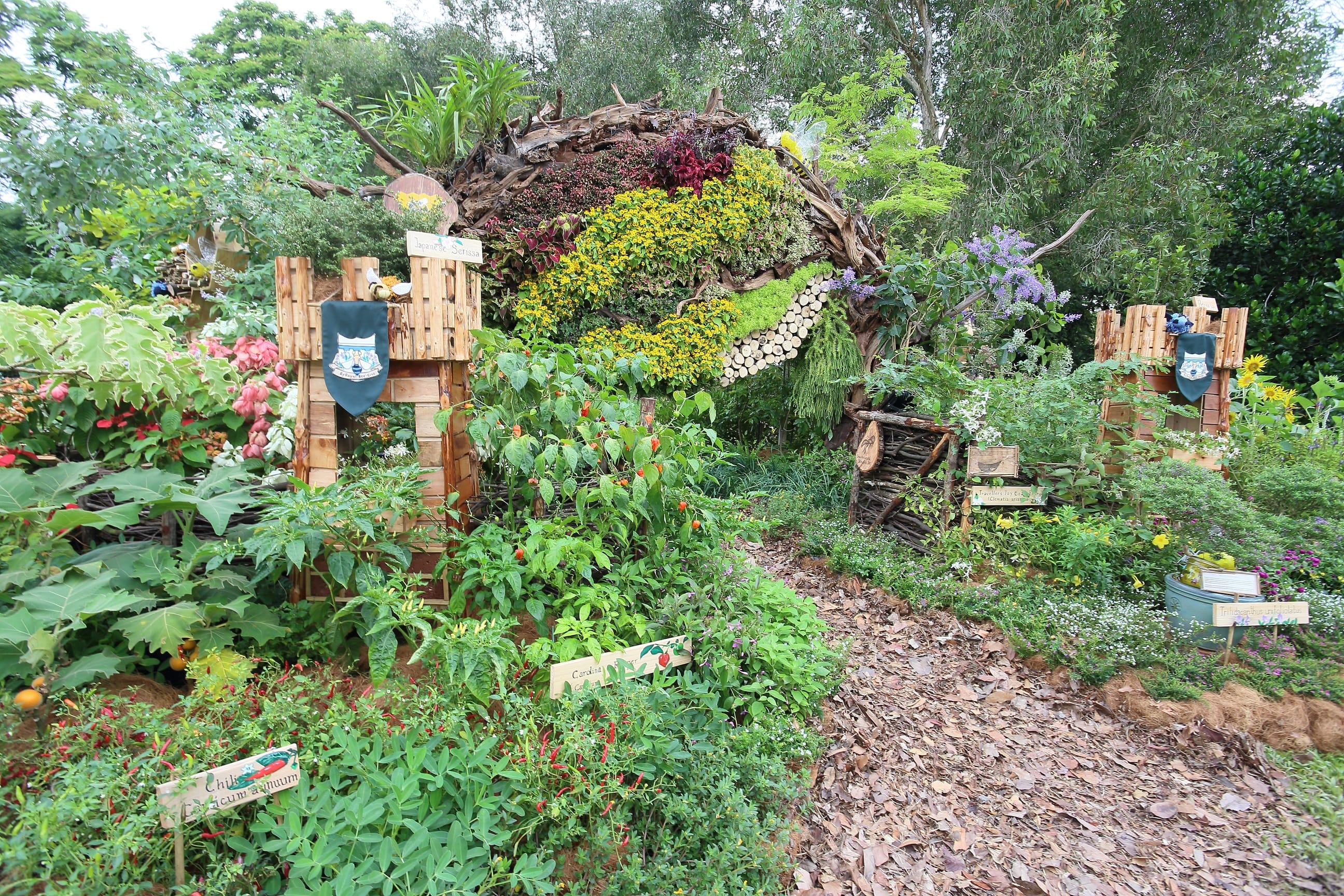 A lush garden with various plants, vibrant flowers, wood structures, and signs identifying different plant species.