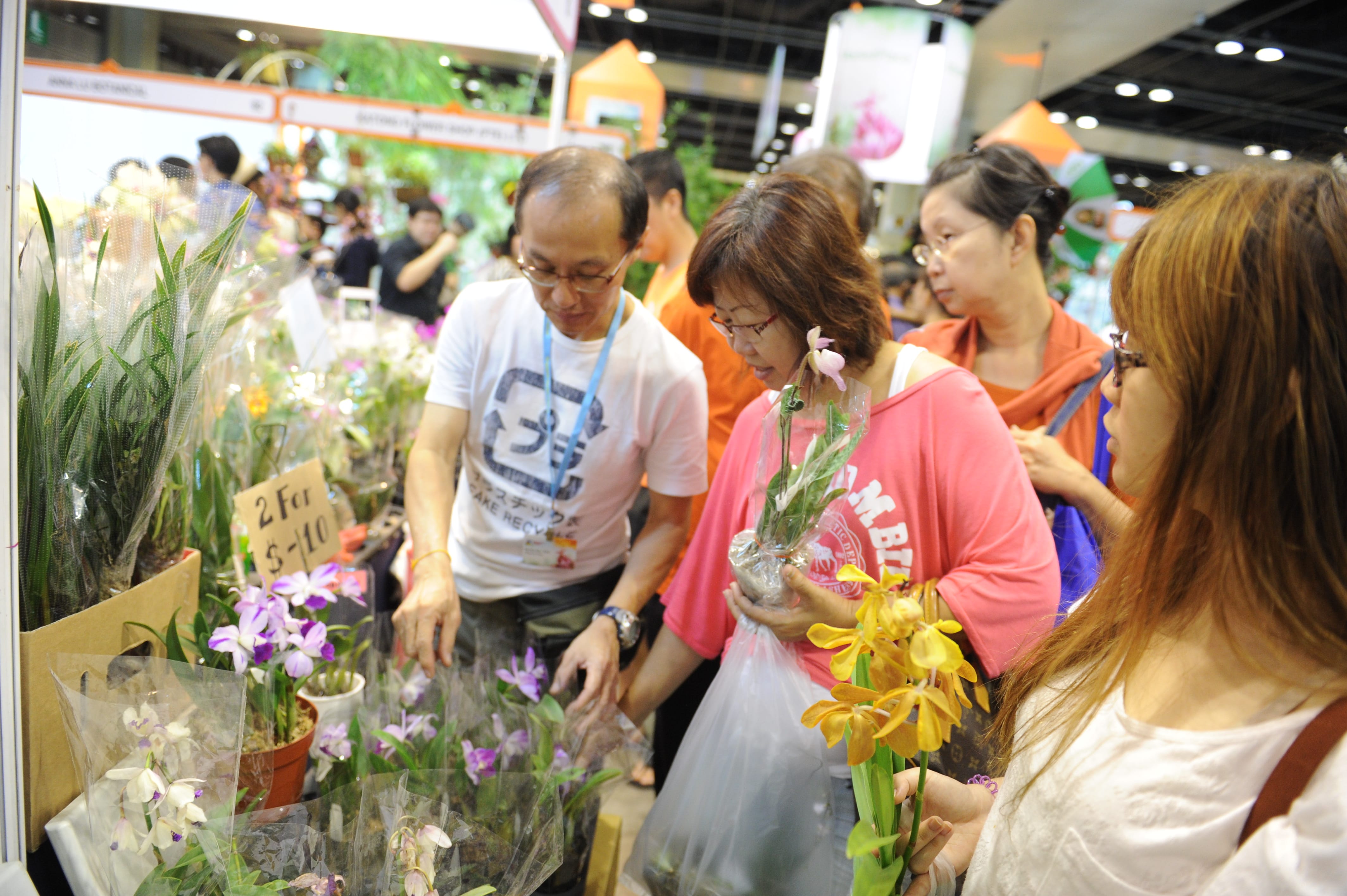 People are browsing and purchasing various flowers and plants at a market stall.