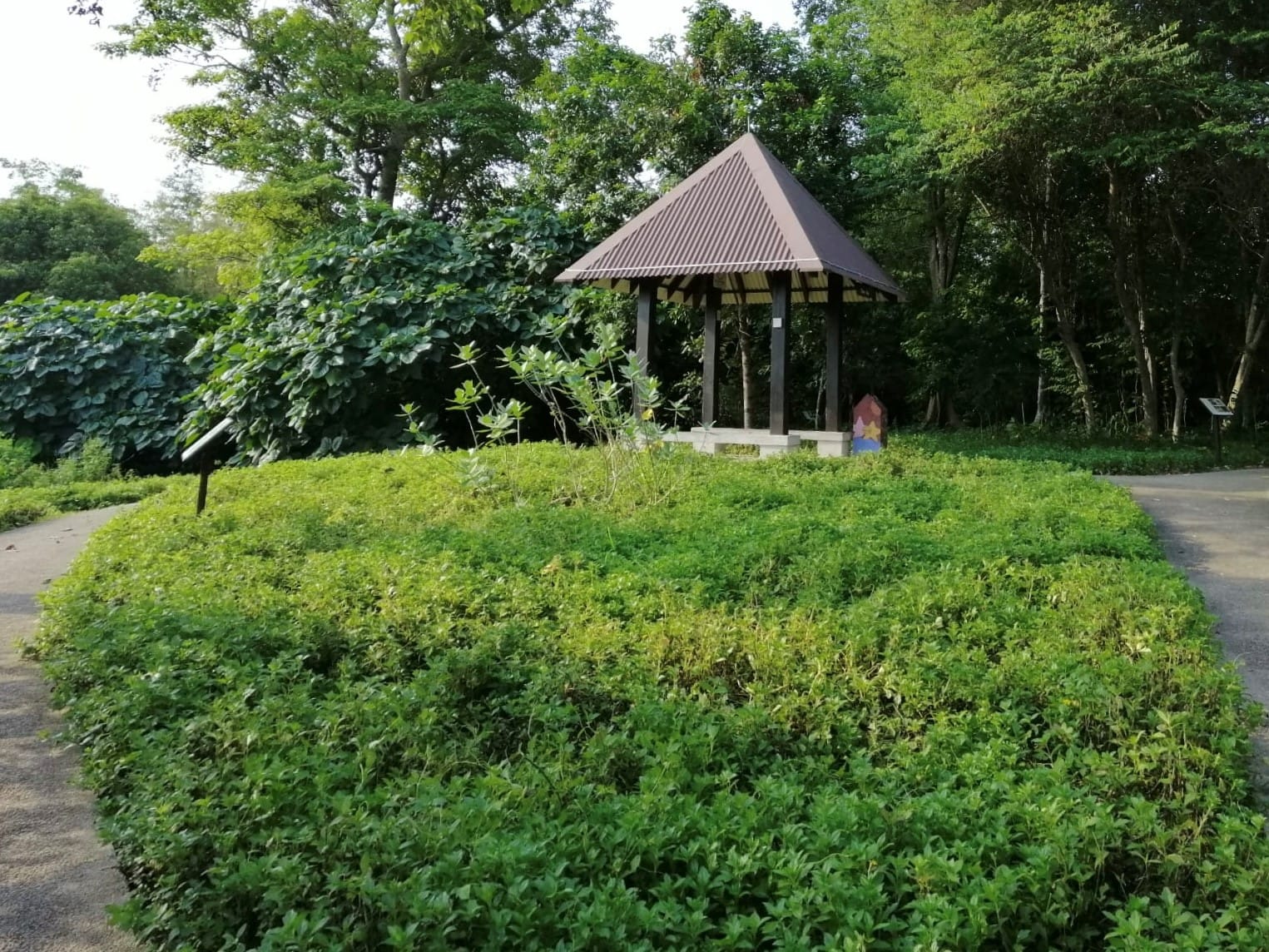 Butterfly Hill thriving with butterflies, and a shelter for visitors seeking shade