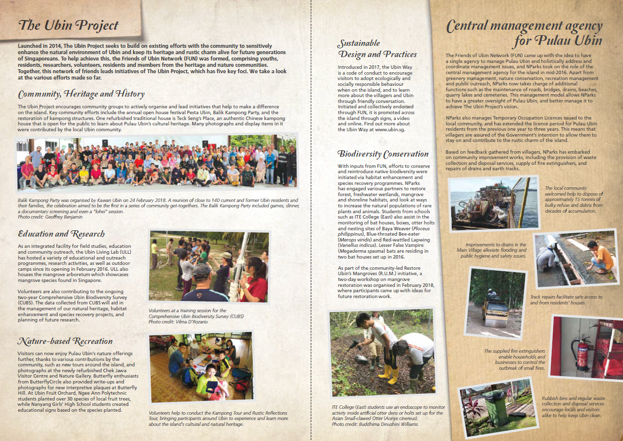 The middle pages of UbiN Tides Issue 1 showcasing The Ubin Project which details community activities, sustainable practices, biodiversity conservation, and research programs.
