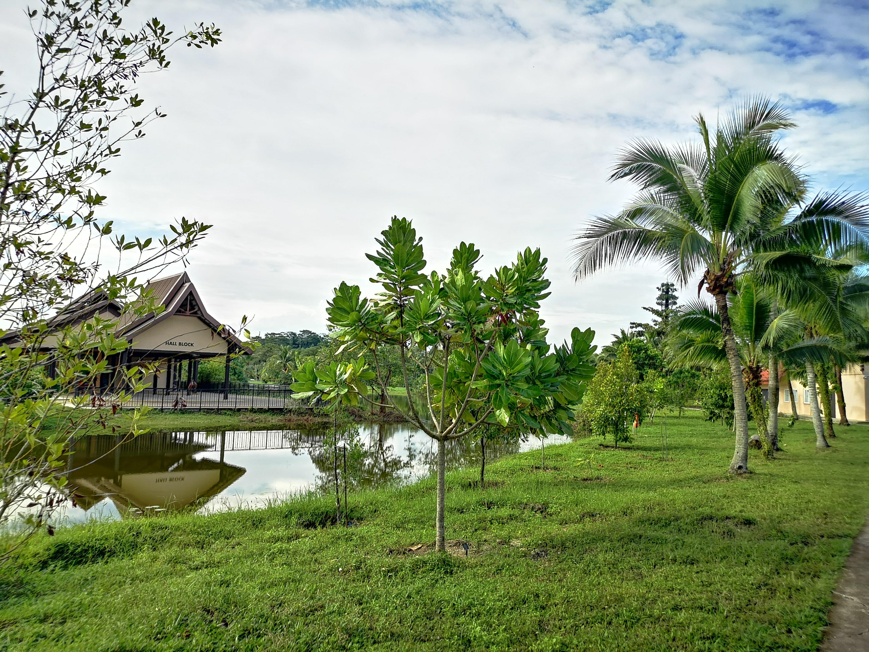 Coastal Arboretum