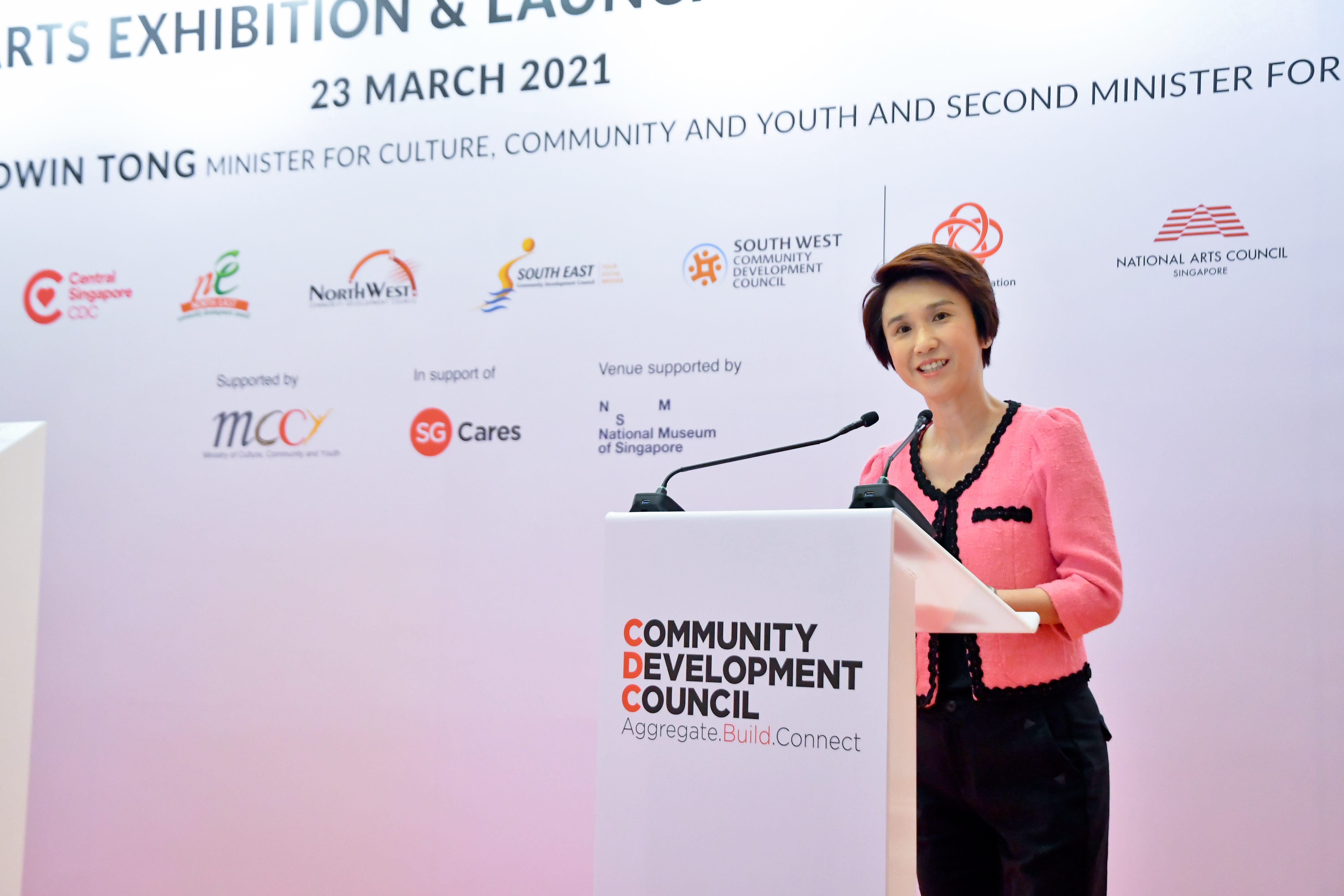 A person in a pink jacket speaks at a podium with "Community Development Council" written on it.