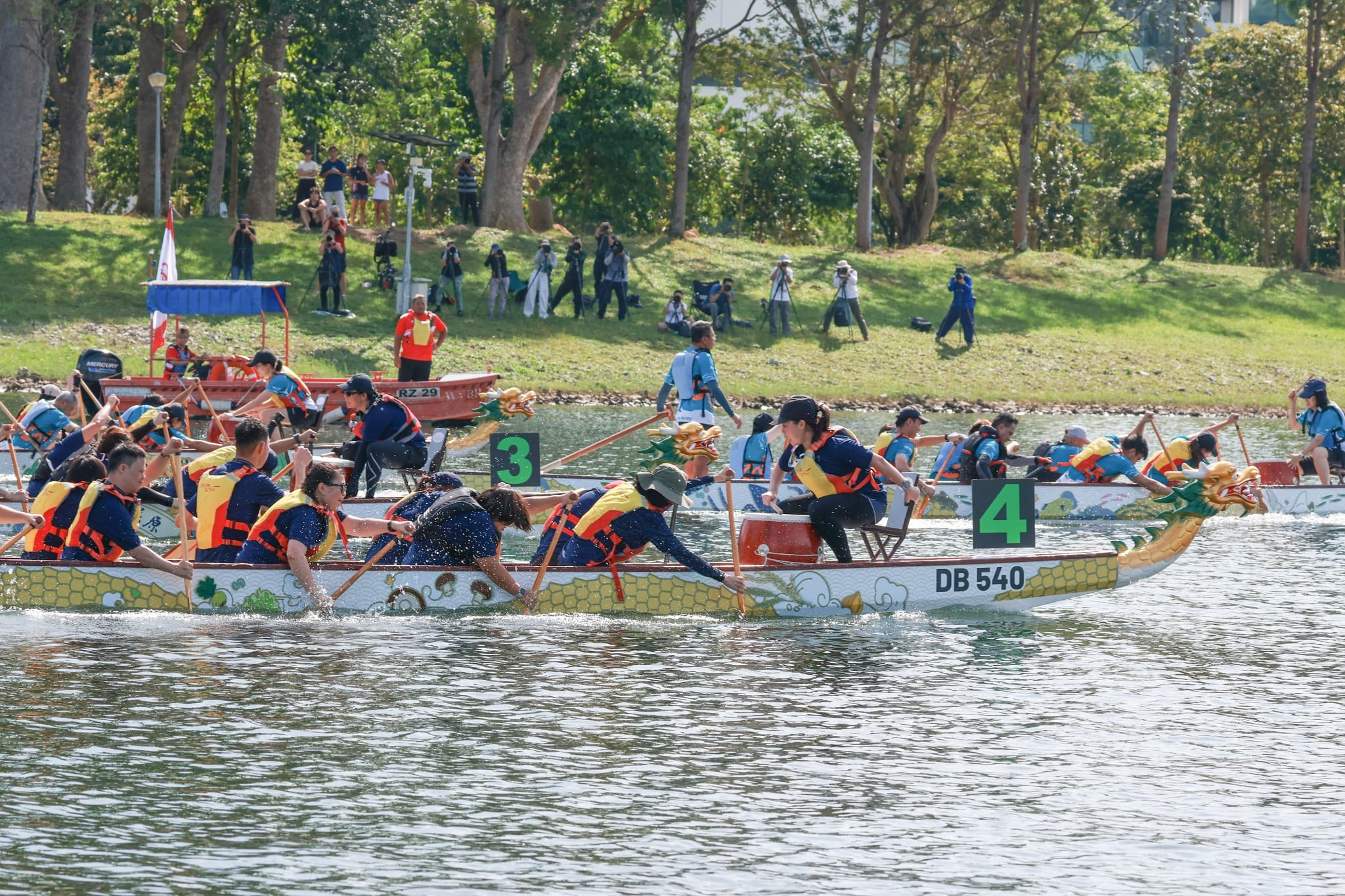 The image shows multiple dragon boat teams racing across the water, with paddlers in life jackets powering decorated boats featuring Shaping Hearts artwork, while photographers and spectators watch from the grassy bank.