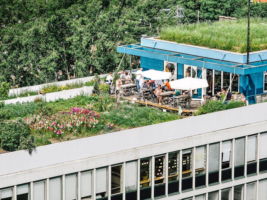 Rooftop garden with flowering plants and people sitting at tables under white umbrellas beside a blue building.