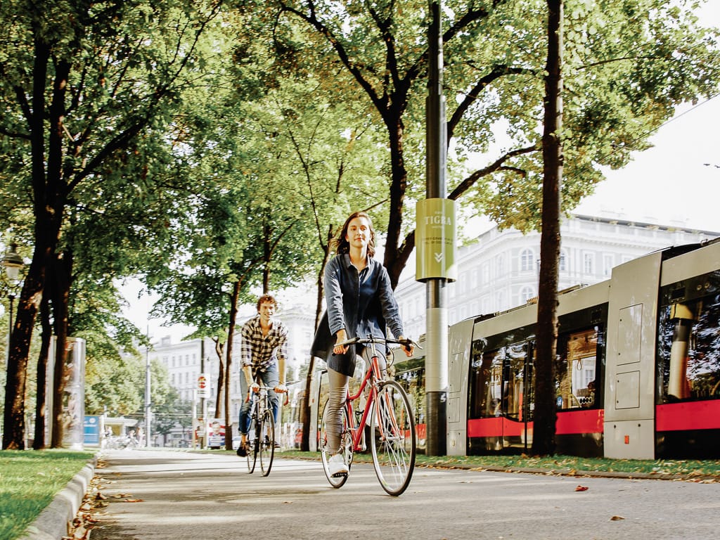Two cyclists ride along a tree-lined urban path beside a modern red and gray tram.