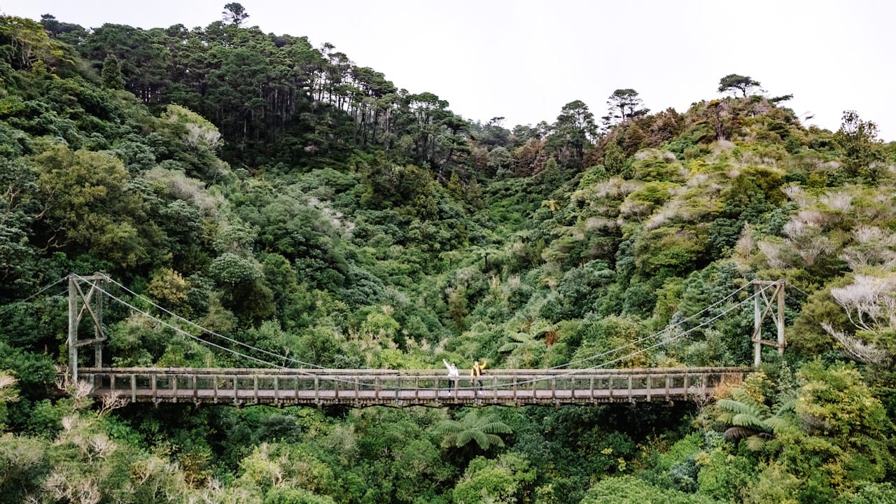 Two people stand on a wooden suspension bridge spanning a dense green forested valley with hillsides.