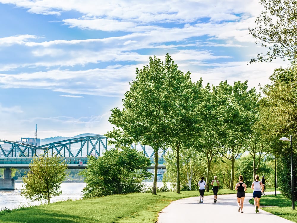 Recreational activities on Danube Island 