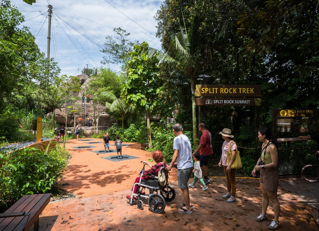 Photo of families on adventure trail in Rainforest Wild Adventure EAST